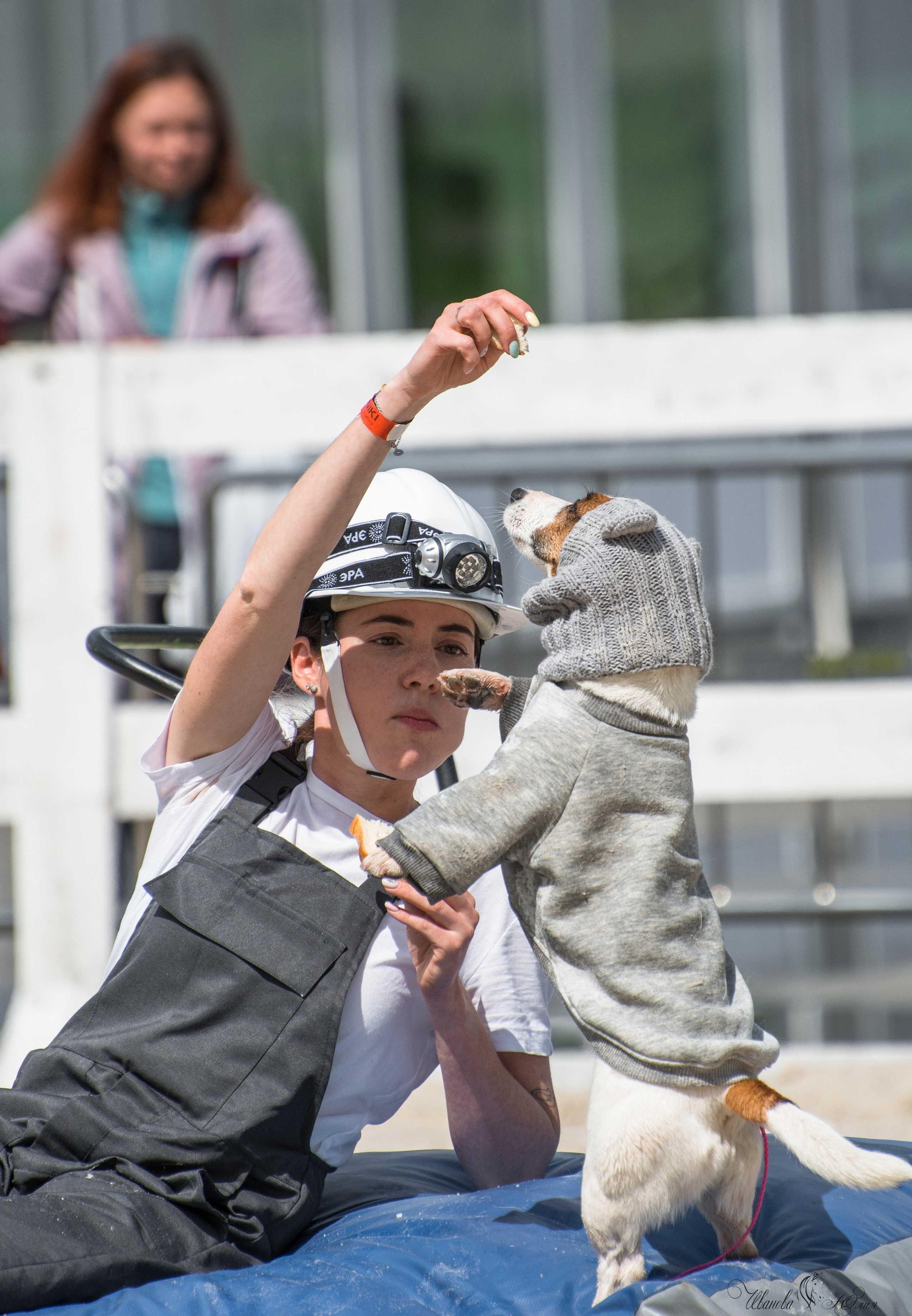 Эквирос, Москва. Конный фотограф в Саратове Юлия Иванова