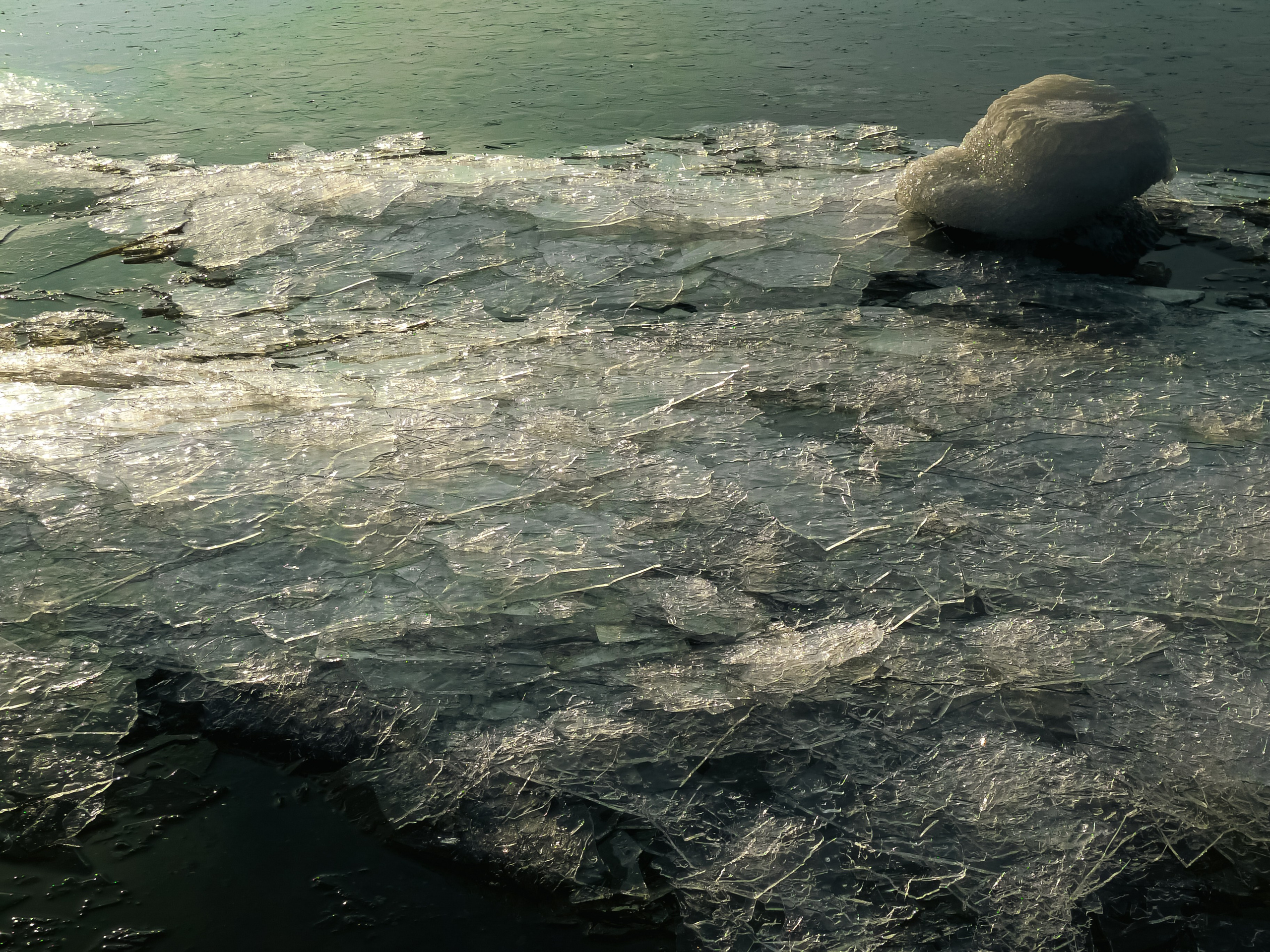 Финский Залив. Портретный и репортажный фотограф в Санкт-Петербурге Смоляков Максим