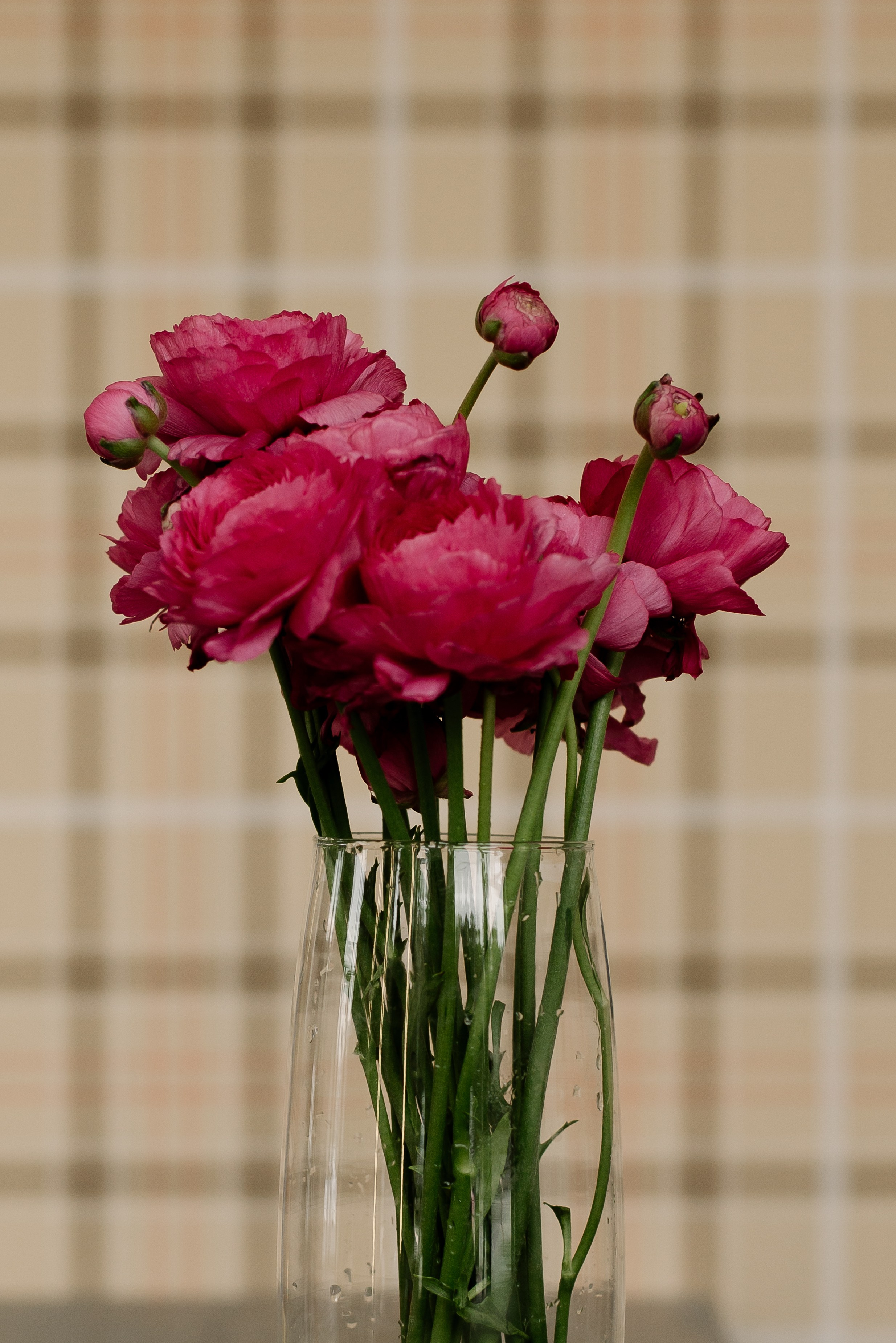 Garden Street. Портретный фотограф Ксения Люндовская