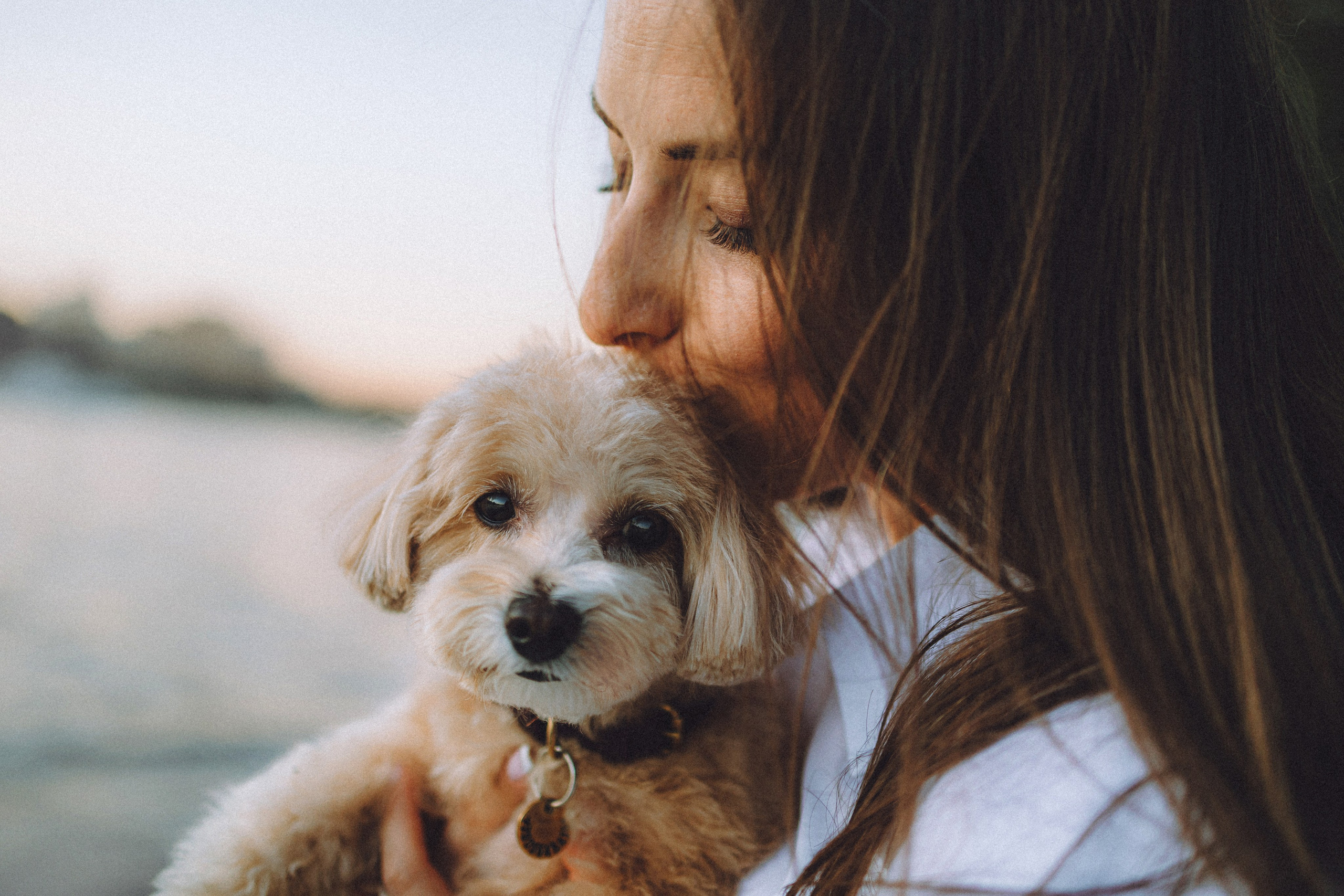 Настя и Симба