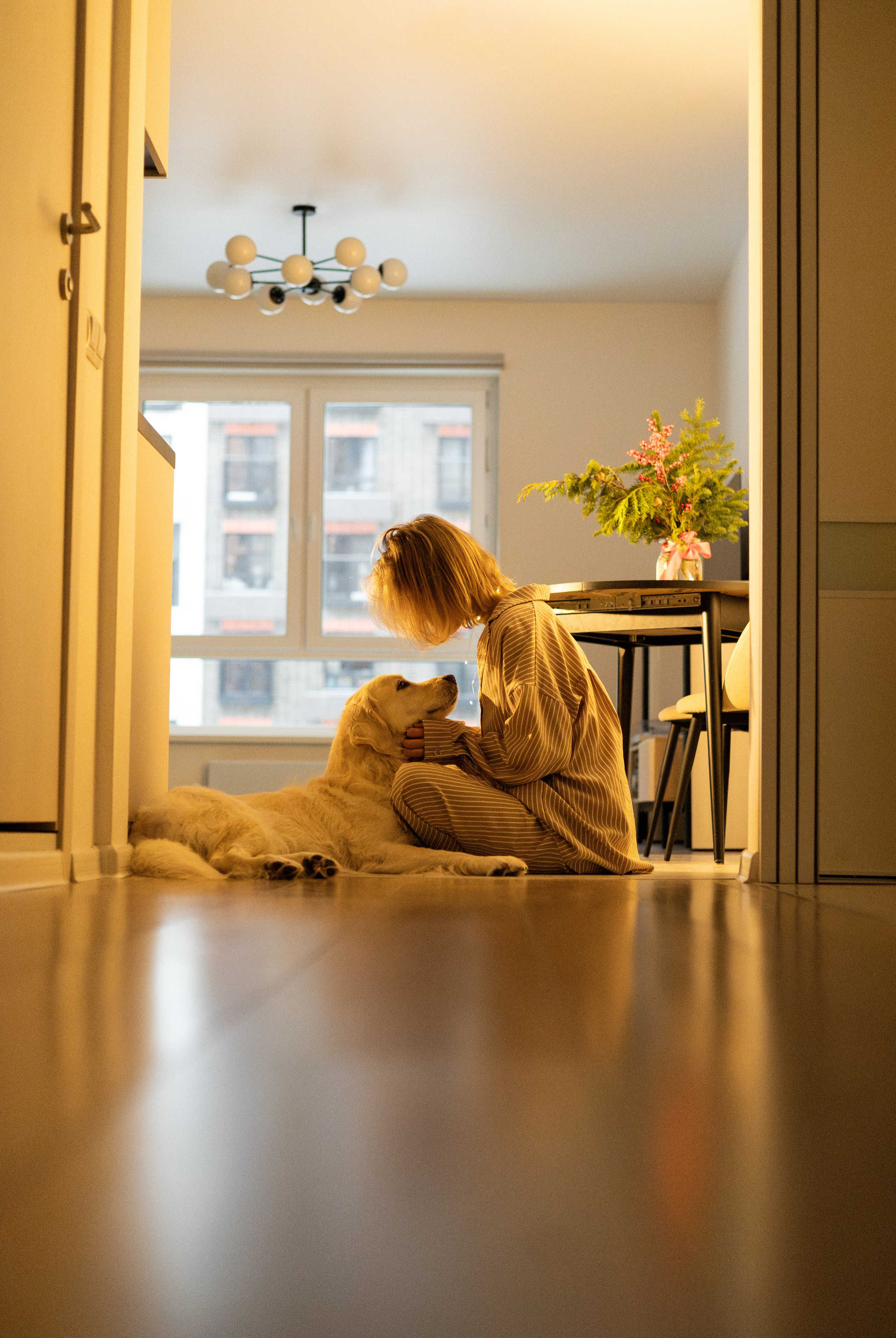 Зиз и Юля. Новогодняя. Фотограф-анималист Ксения Шевцова|Москва