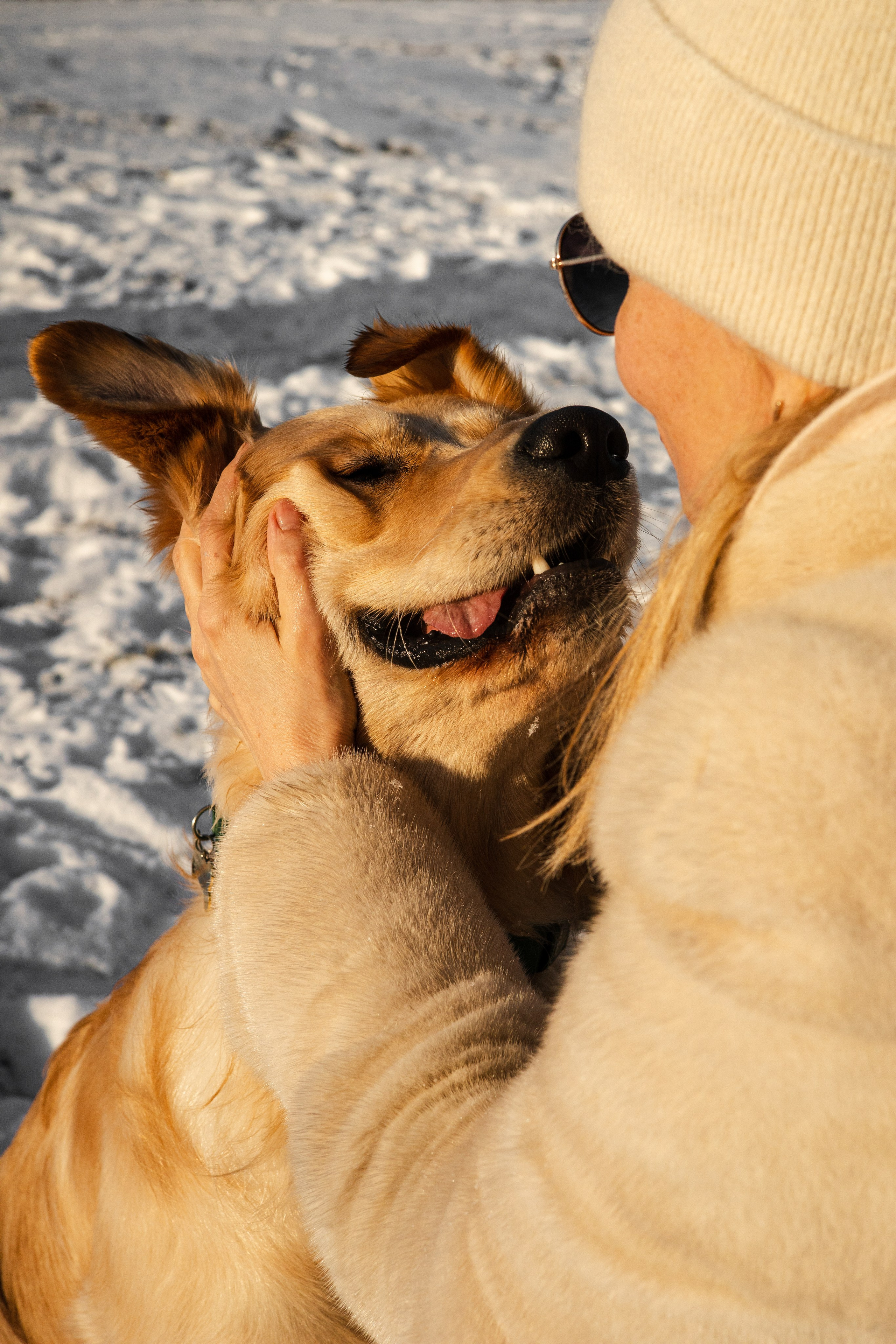 Ларри и его семья. Фотограф-анималист Ксения Шевцова|Москва