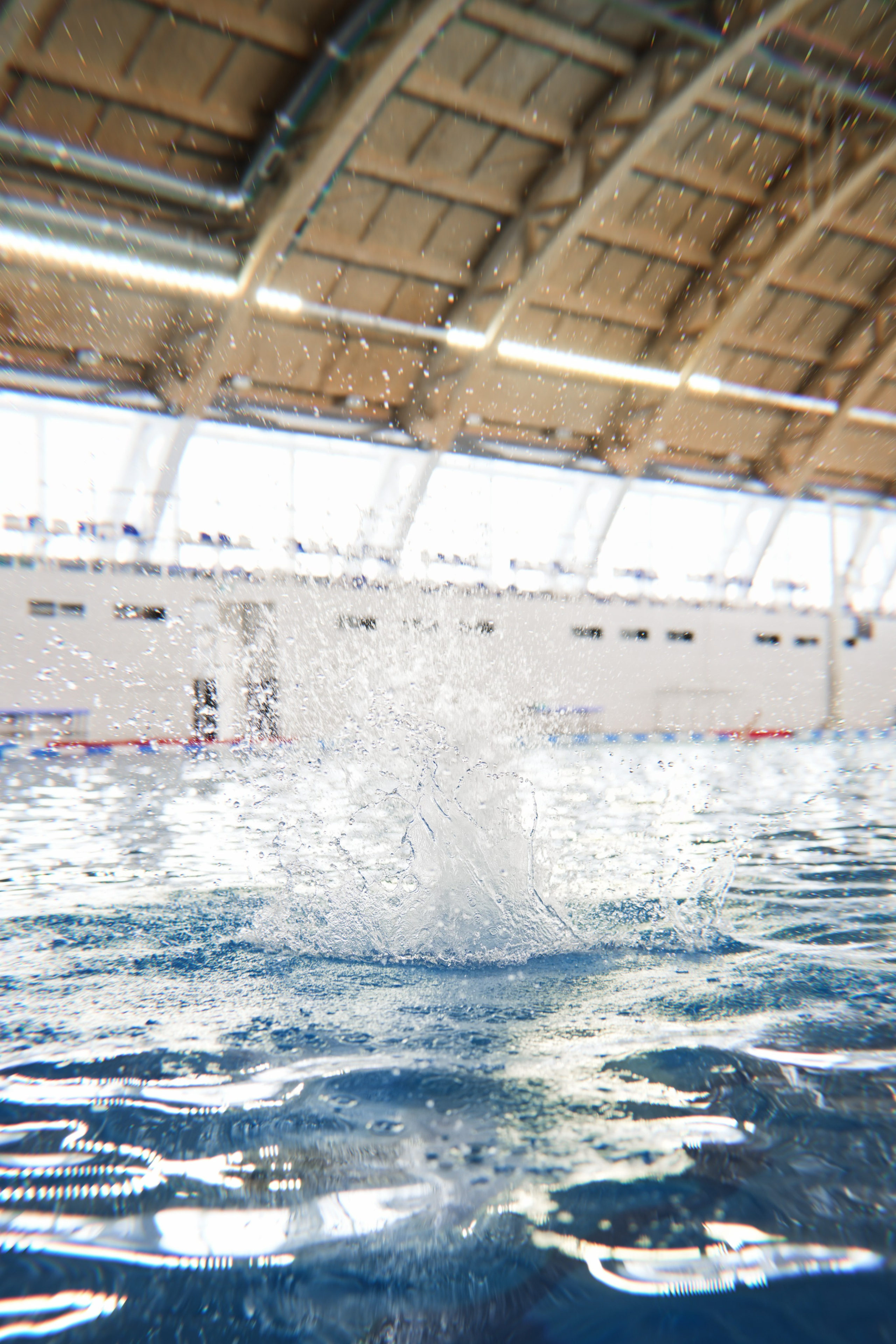 Sport-Art. Анна Жукова — Режиссёр кино и цирка, сценарист, фотограф