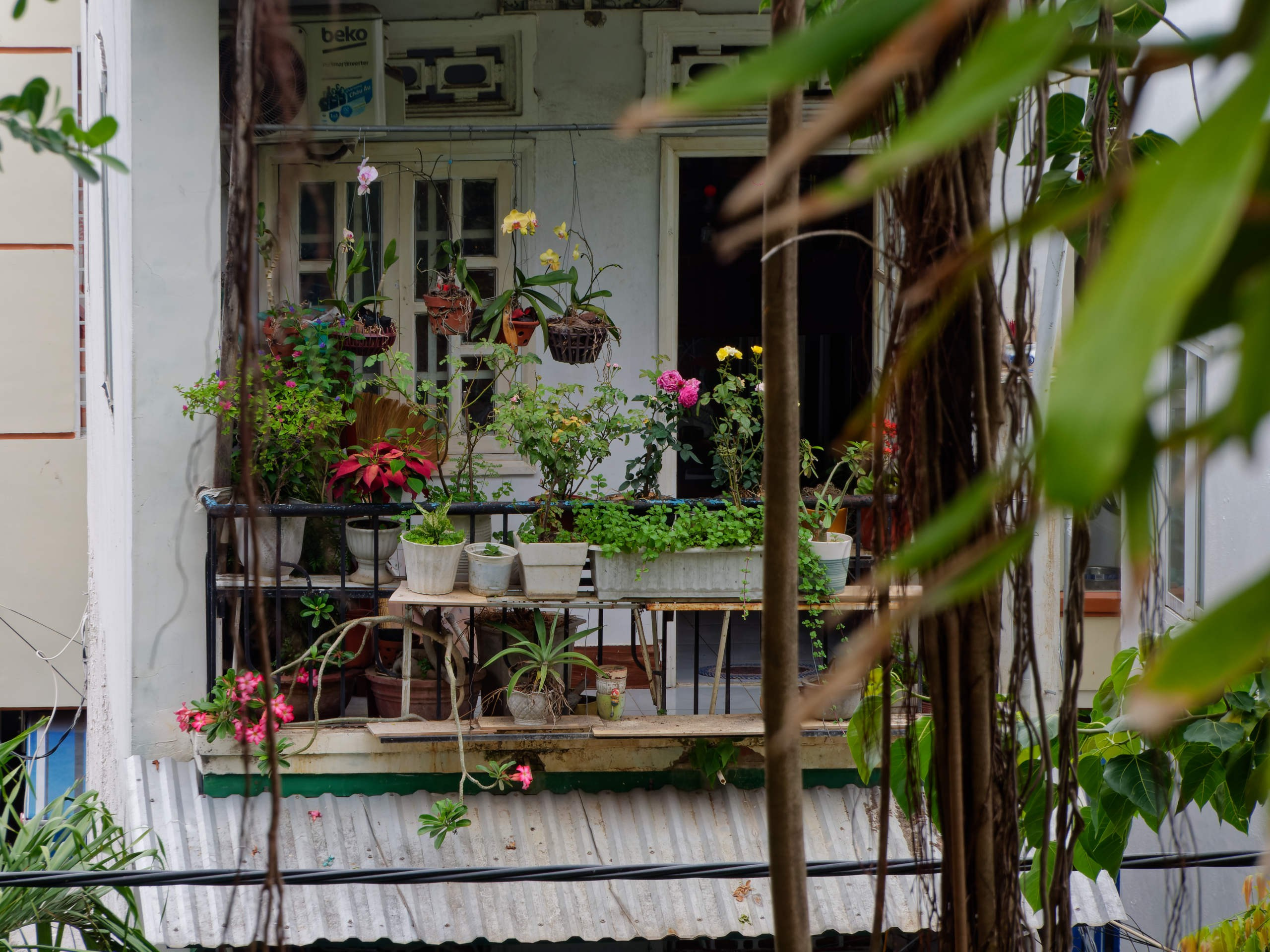 Нячанг 2025 (4). Избранные фотографии