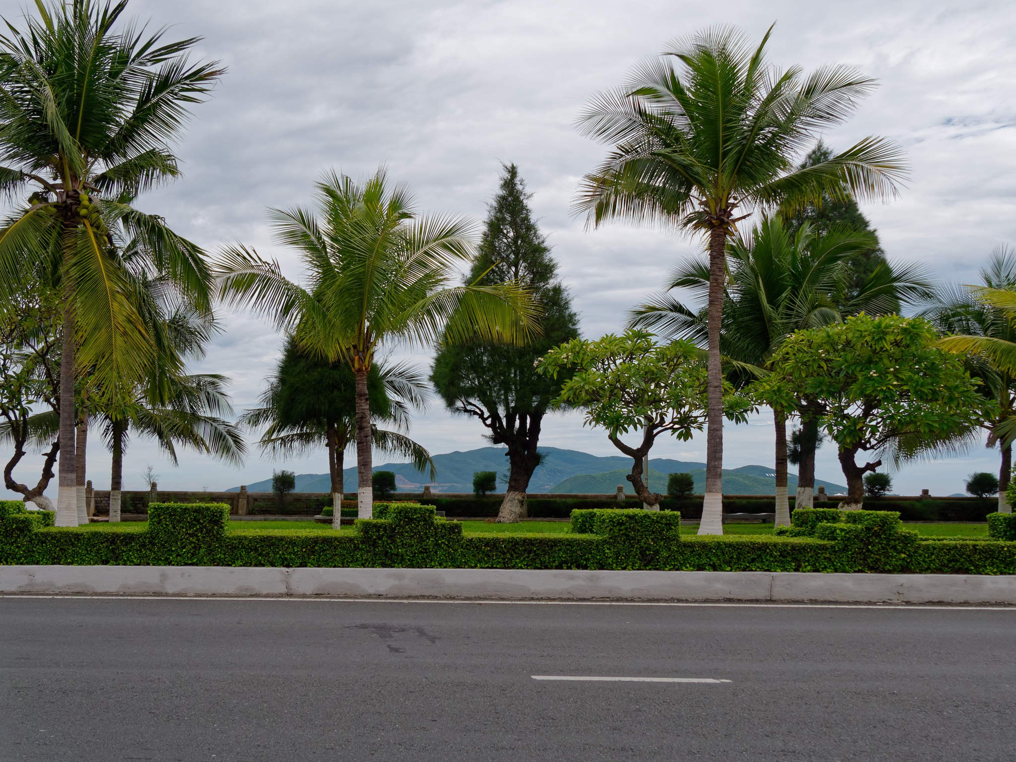 Нячанг 2023. Избранные фотографии