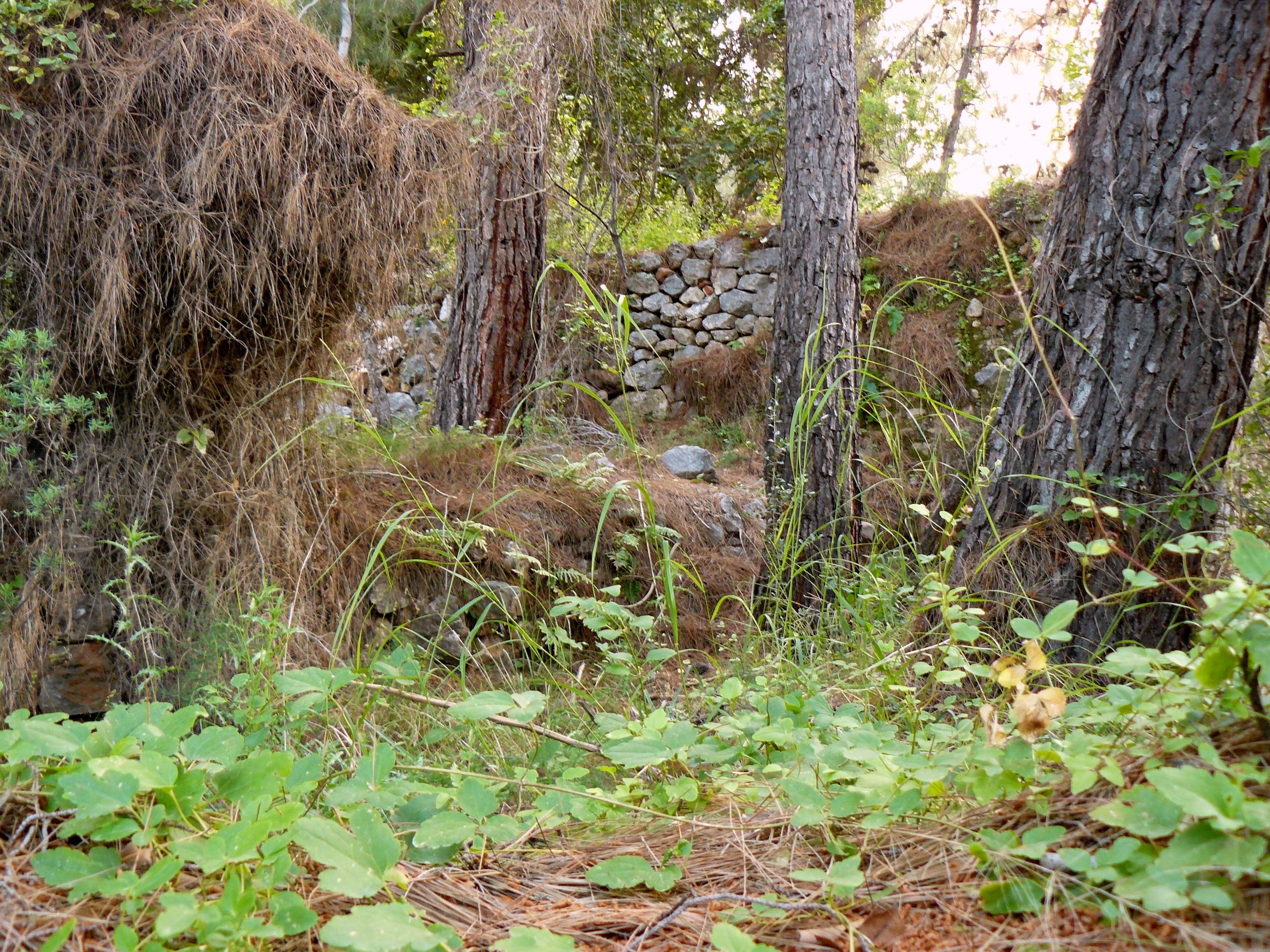Алания 2014 старая крепость. Фотопрогулки по Миру
