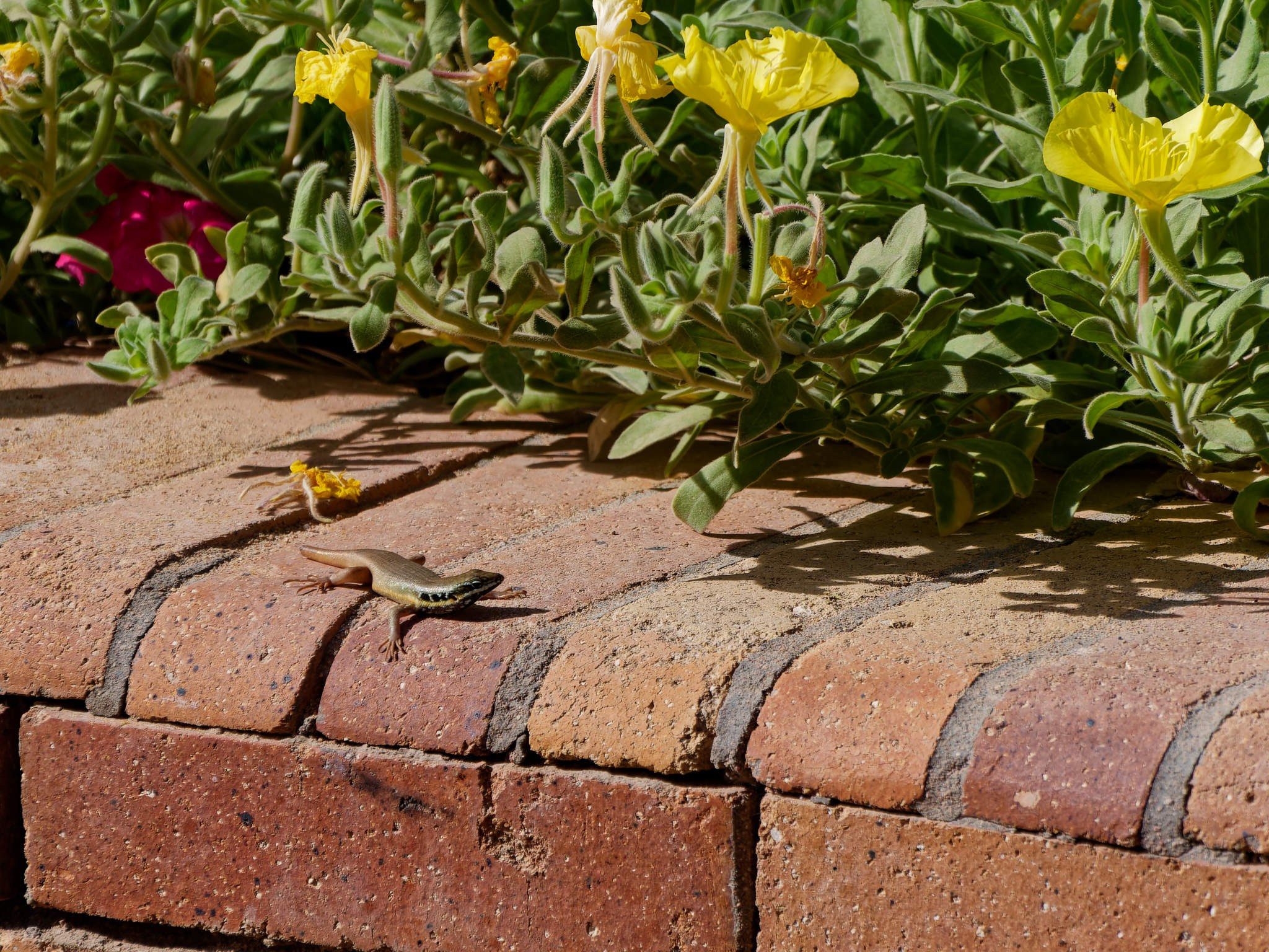 Шарм-эль-Шейх 2024. Избранные фотографии