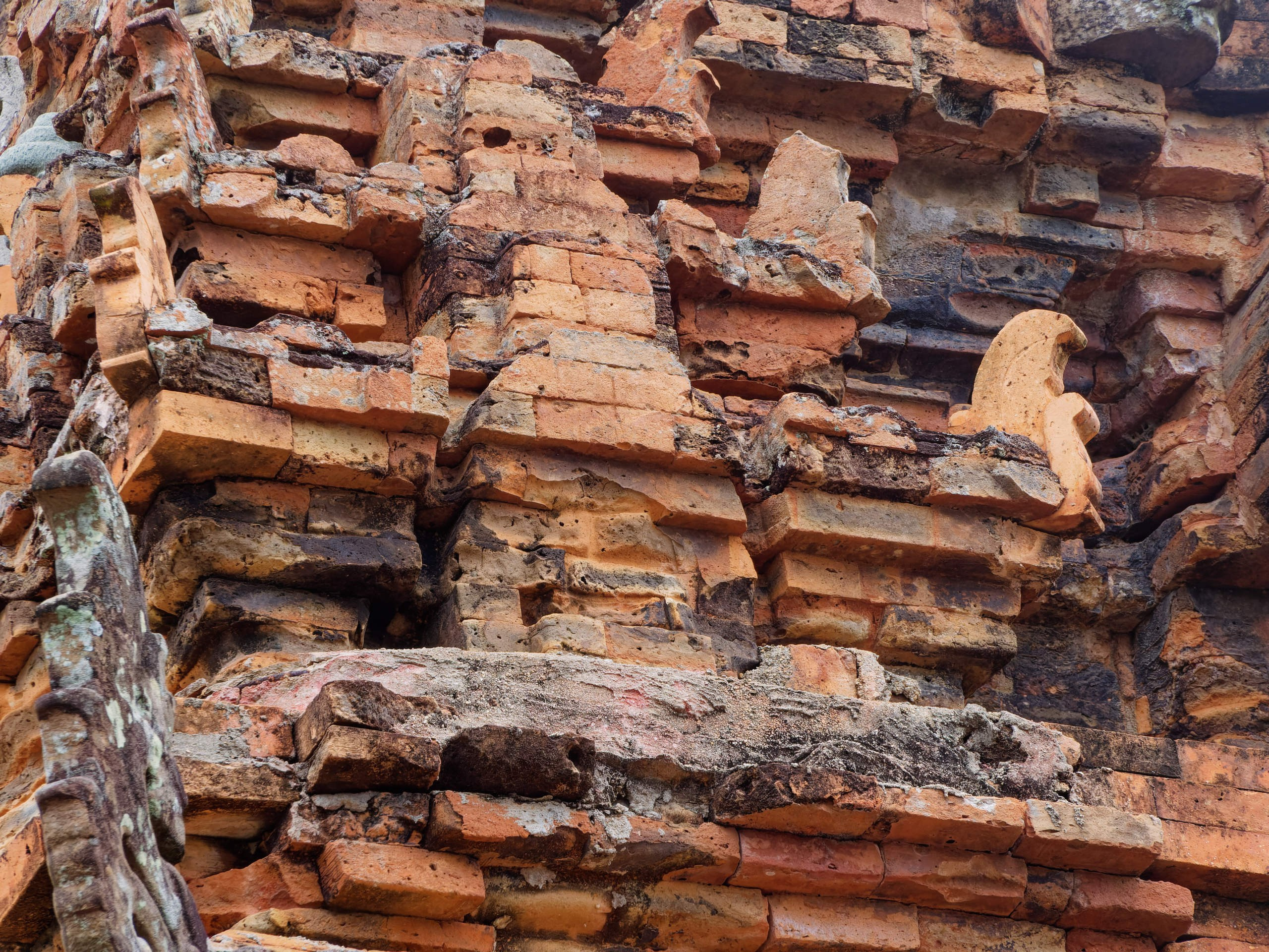 Нячанг 2025 (4). Избранные фотографии