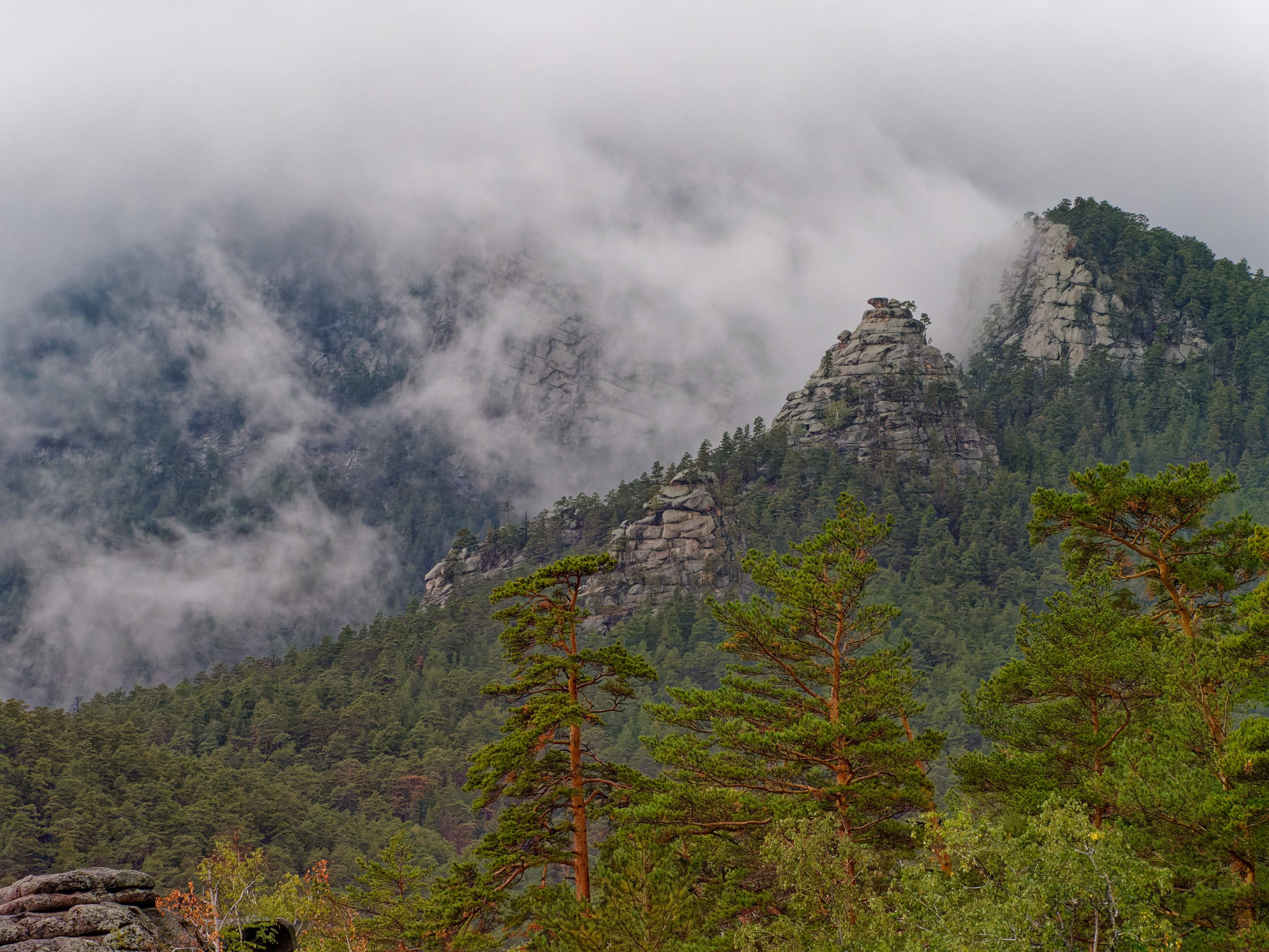 Боровое 2023 (из архива). Избранные фотографии