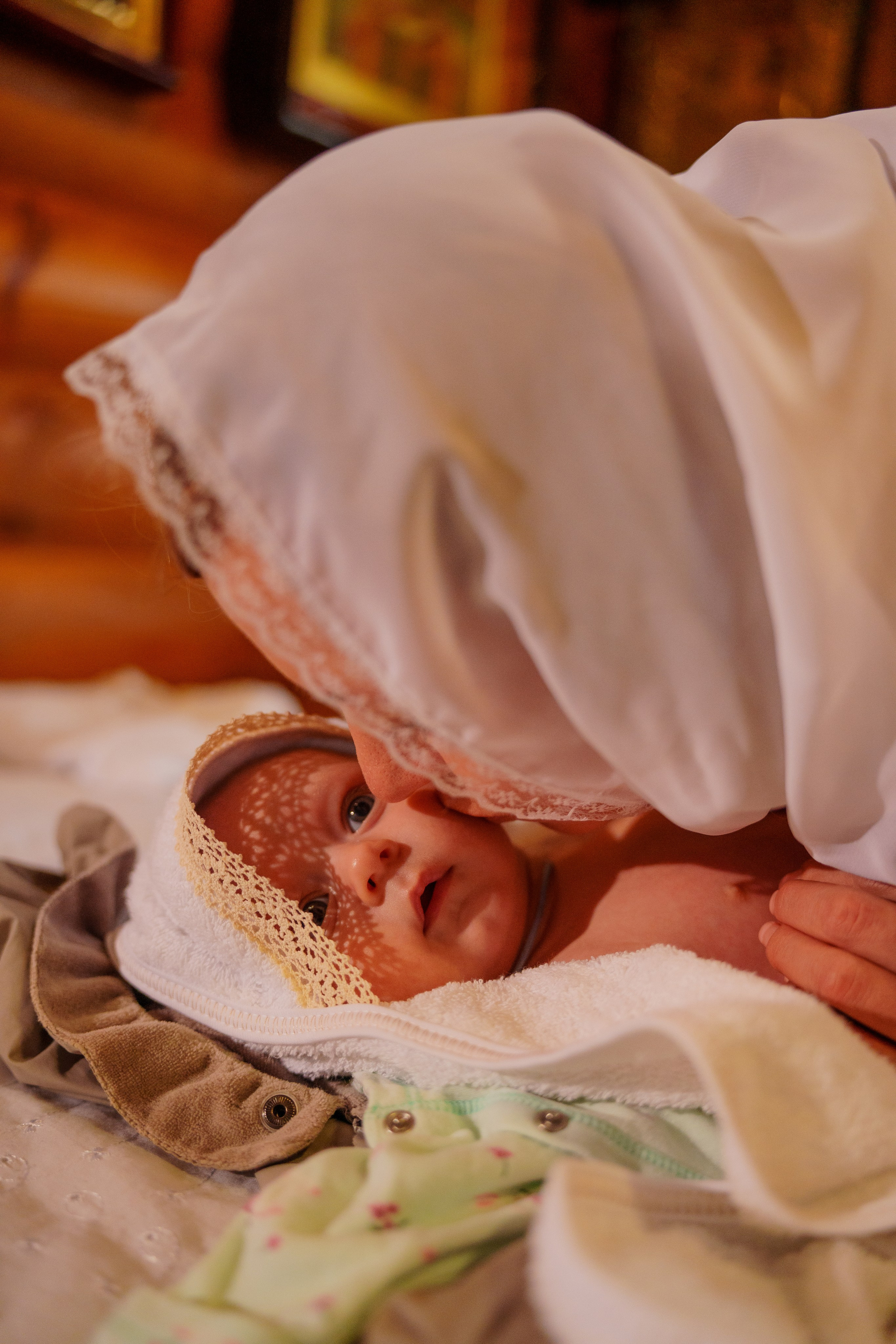 05.11.2023. Фотограф Андрей Чеботок (Белгород, Курск, Воронеж, Старый Оскол)