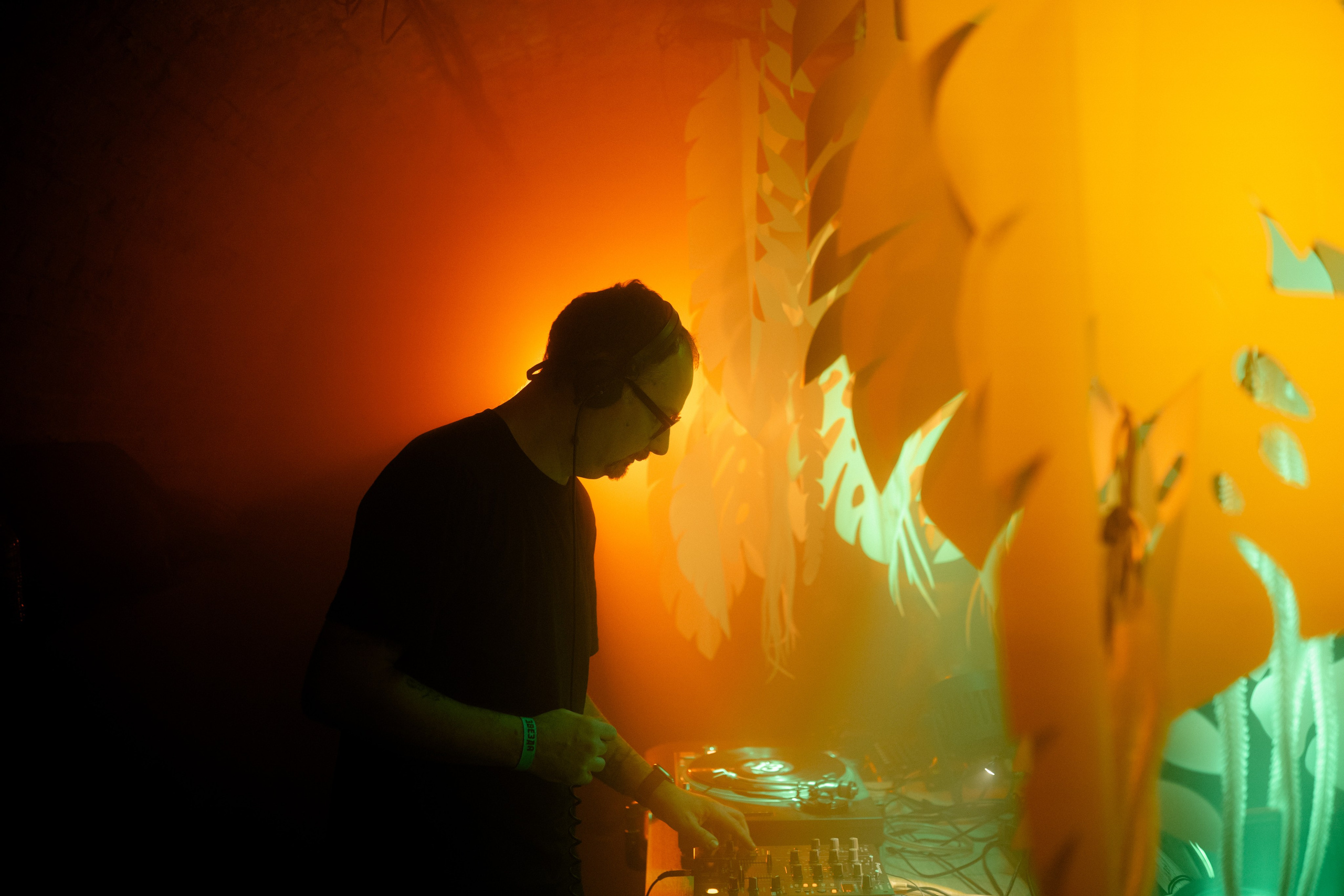 Кратная Звезда | JUNGLE WAVE. Фотограф Vika Rin