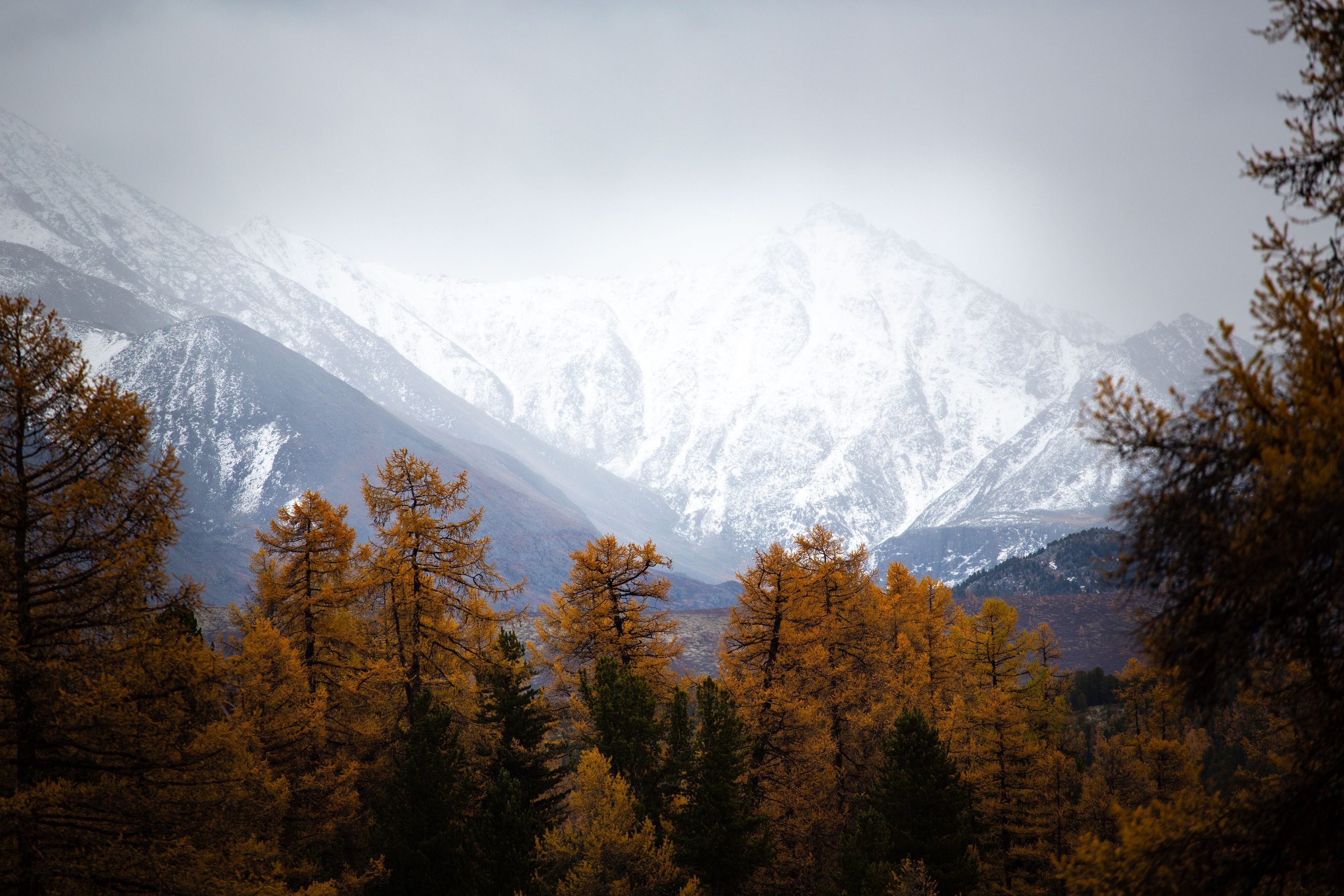 Россия. Алтай. Добродеева Алла фотограф, Москва