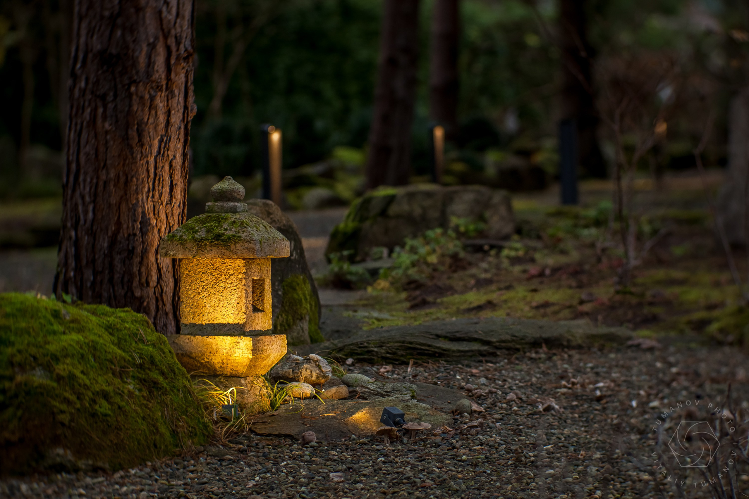 Будто два разных сада, два состояния, два измерения...Сад "Сиреневый туман" (автор сада: Елена Асташкина (http://t.me/ast_landscape)) с вечерней подсветкой читается и ощущается по разному. Усиливается таинственность, появляется загадка, а в голове рождаются совсем другие образы, сюжеты и чувства🙏😍.Как же сильно влияют свет, тени и температура освещения на наше восприятие и на нашу психику.А вы любите вечернюю подсветку садов, городов?