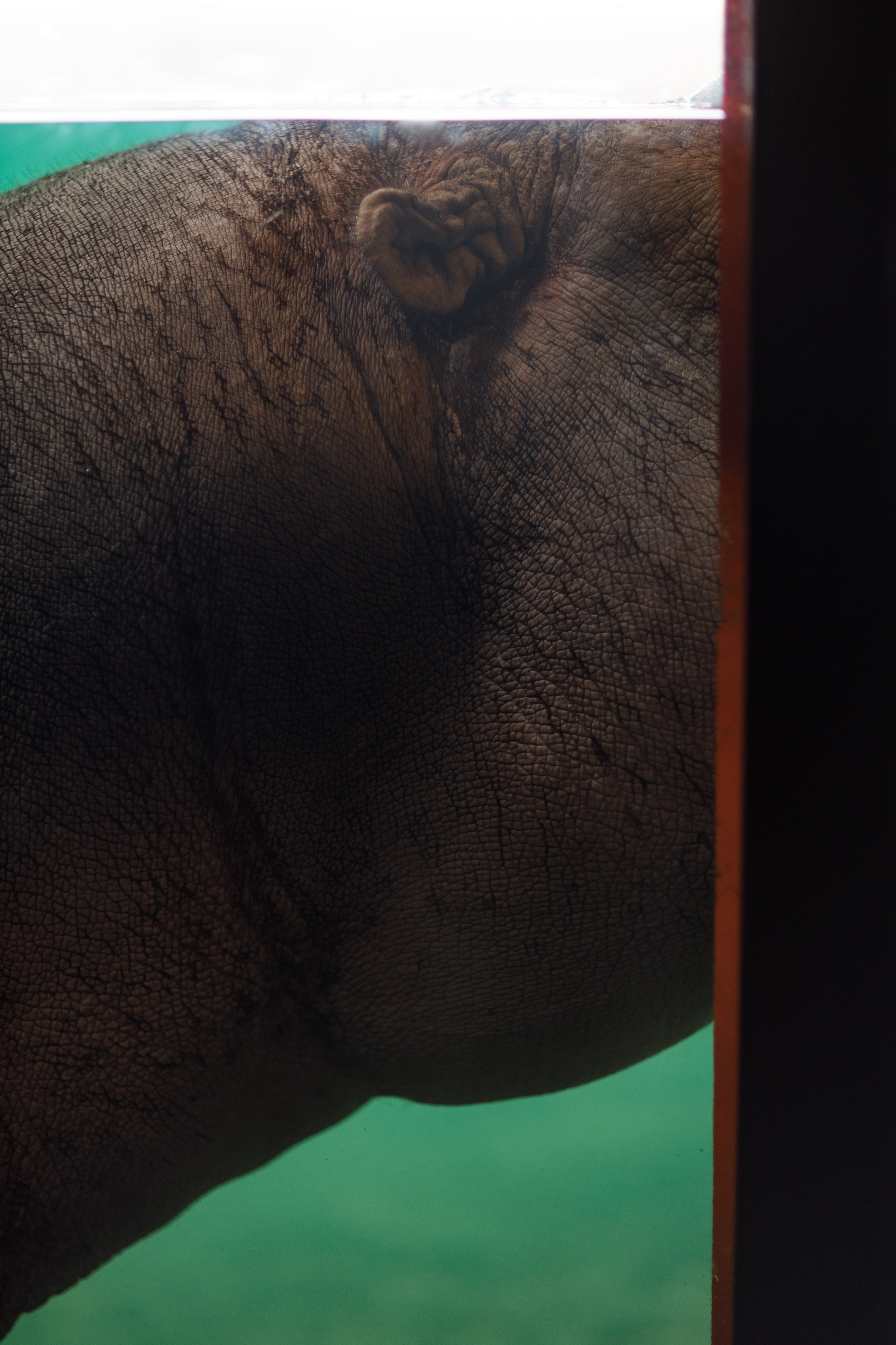 Дубай 2023. Руслан Плахтеев