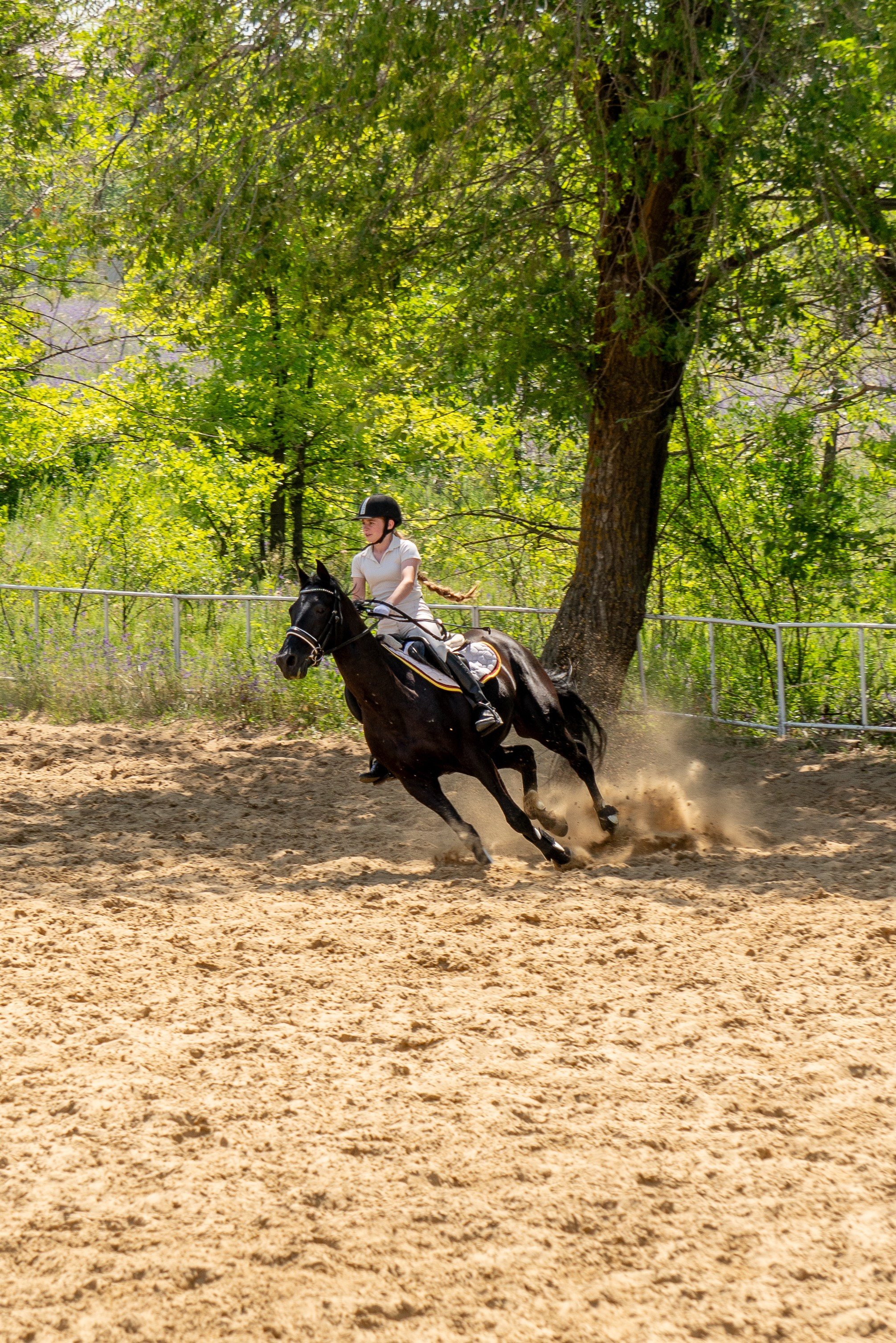 Соревнования по конкуру, Луганск. Фотограф в РФ и ЛНР Юлия Федосеева