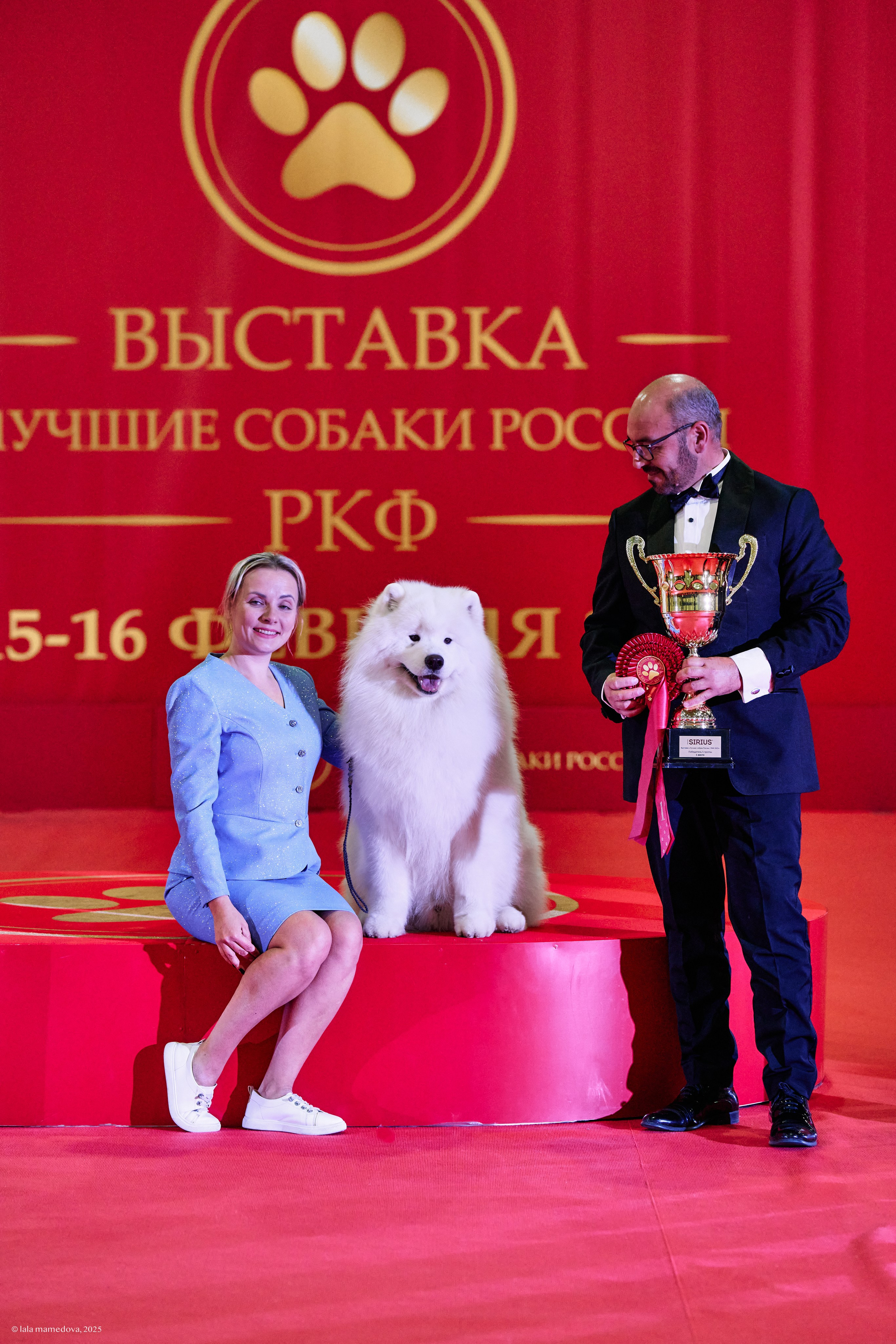 ЛУЧШИЕ СОБАКИ РОССИИ РКФ 2025