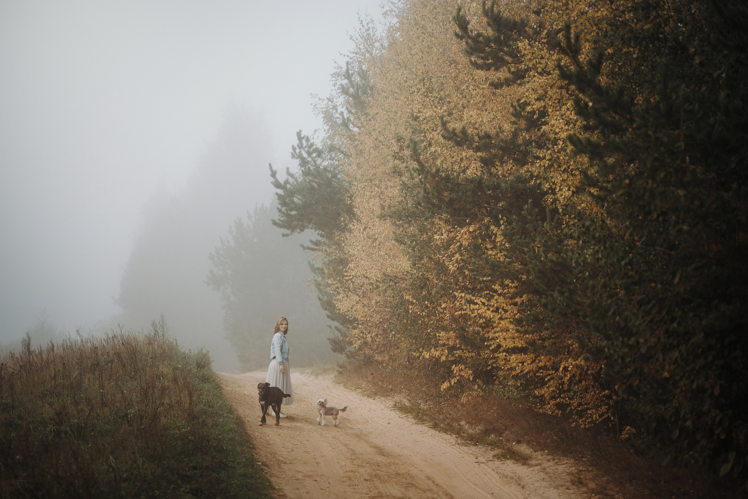 Любовь и ее хвостики. Фотограф — Анималист | Санкт-Петербург