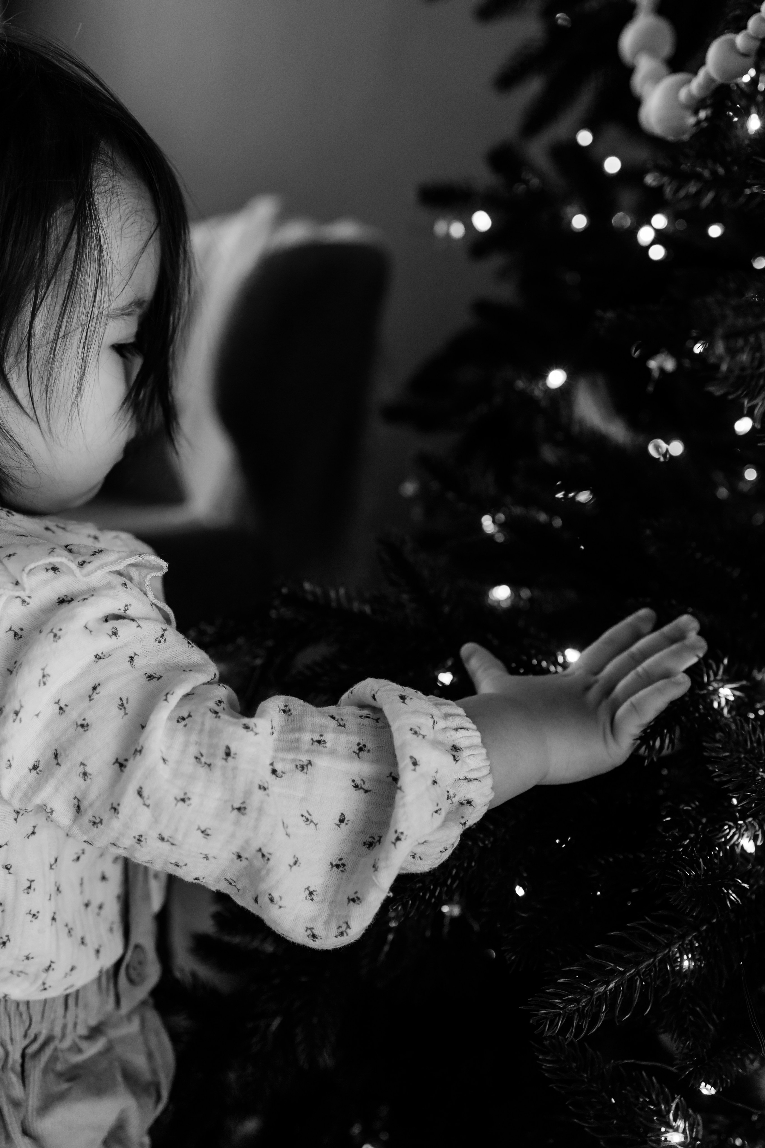 Новогоднее чудо. Семейный фотограф в Москве Алла Суворова