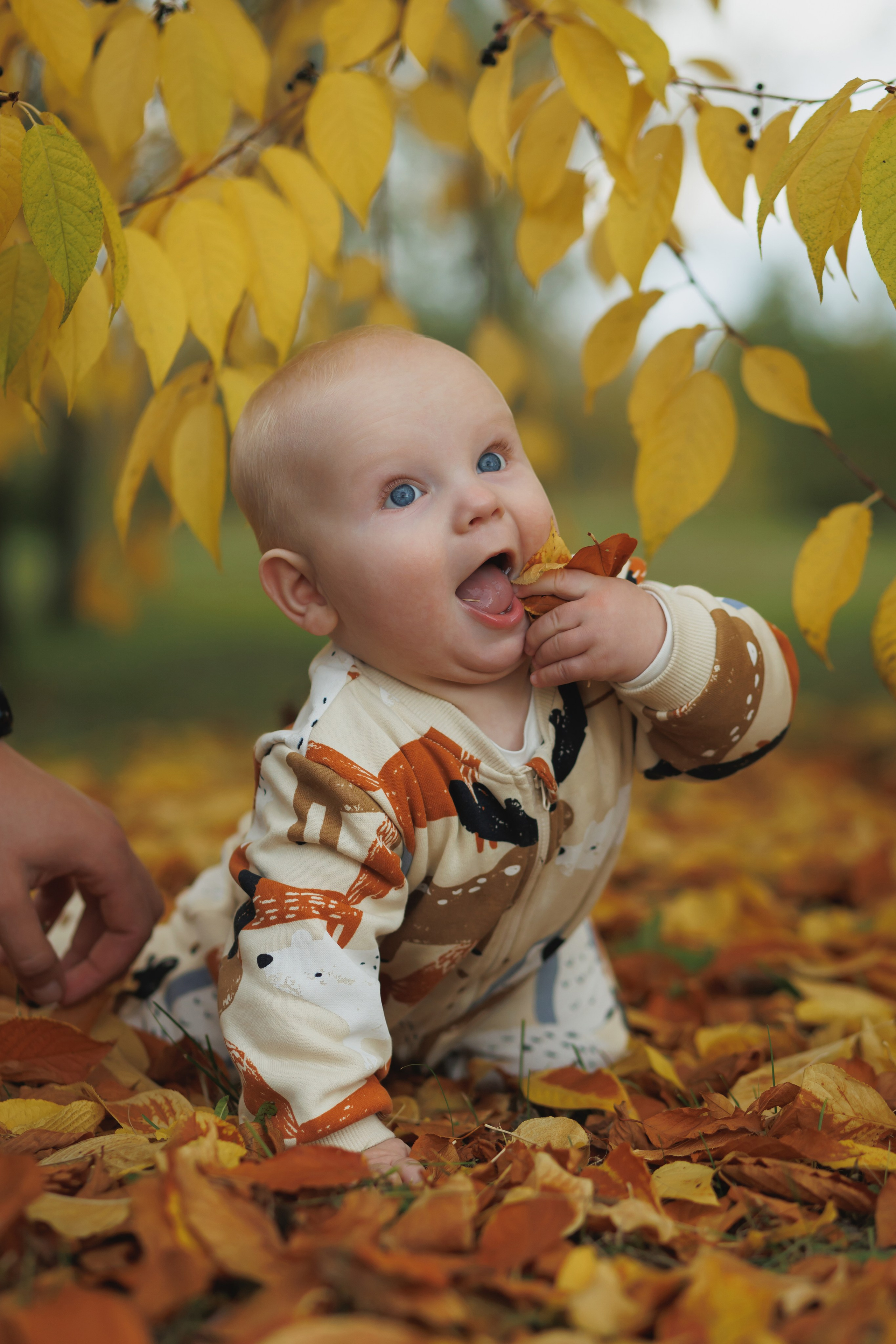 Семейная. Свадебный фотограф Красноярск — Кристина Ива