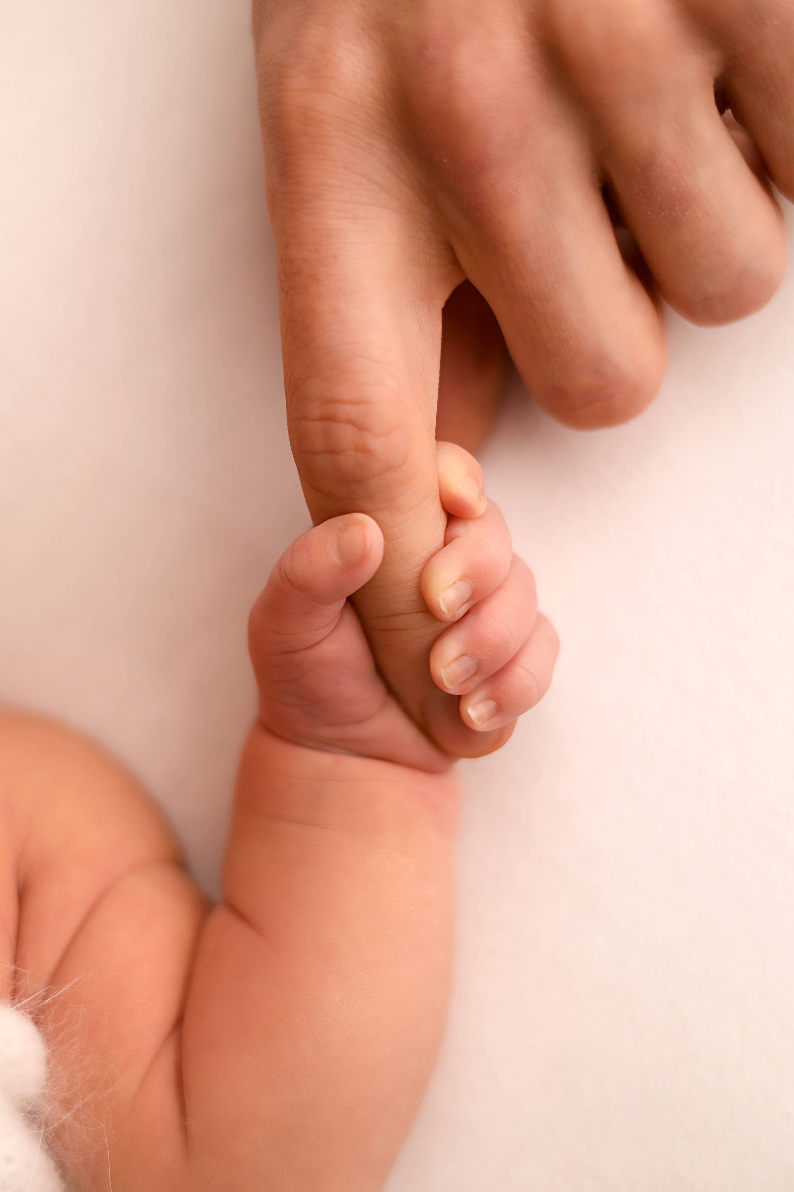 Платон, пакет Лайт. Фотограф новорожденных Москва. Ньюборн фотограф Москва