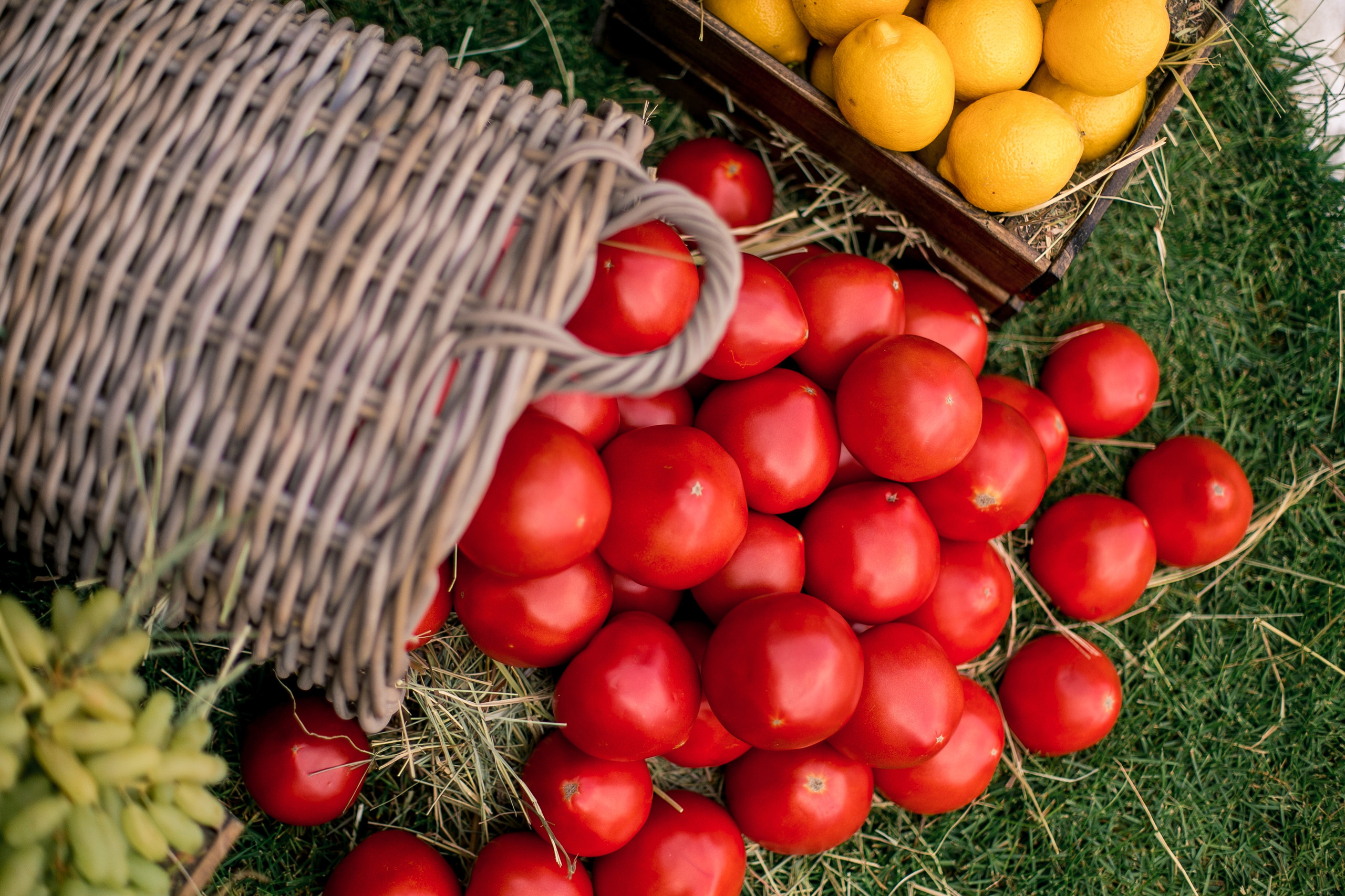Новоселье. Репортажный фотограф Борис Геер