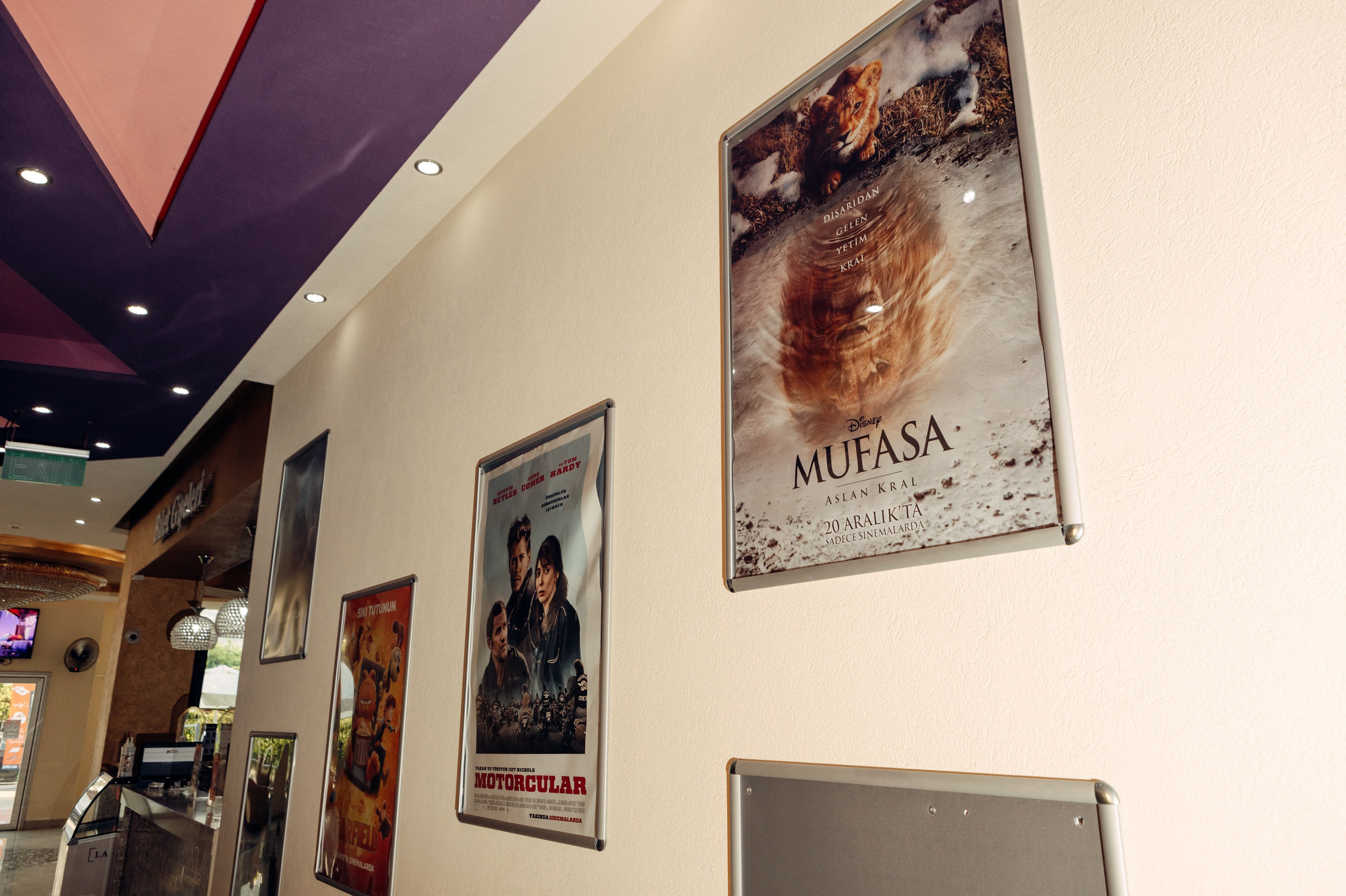 Orlando Starlux. Photographer in Batumi, Georgia Pavel Sharnikov