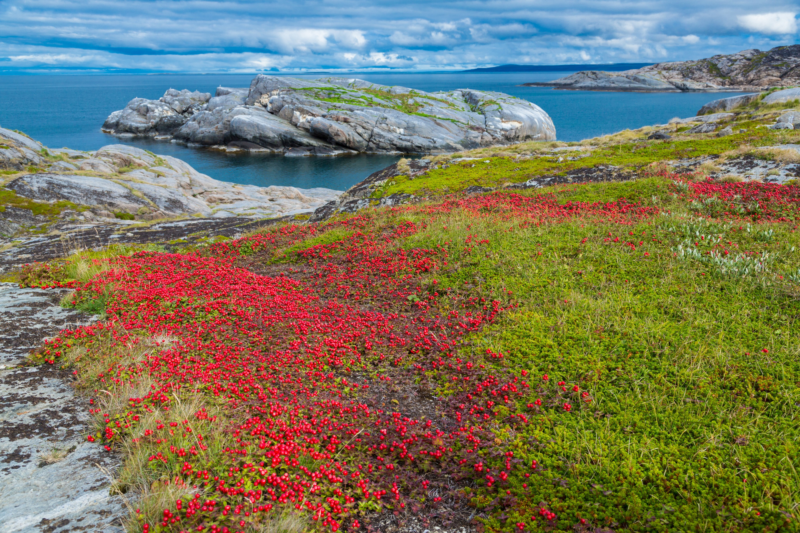 Баренцево море. Пейзажи Крайнего Севера. Баренцево море, Рыбачий, Средний, Немецкий