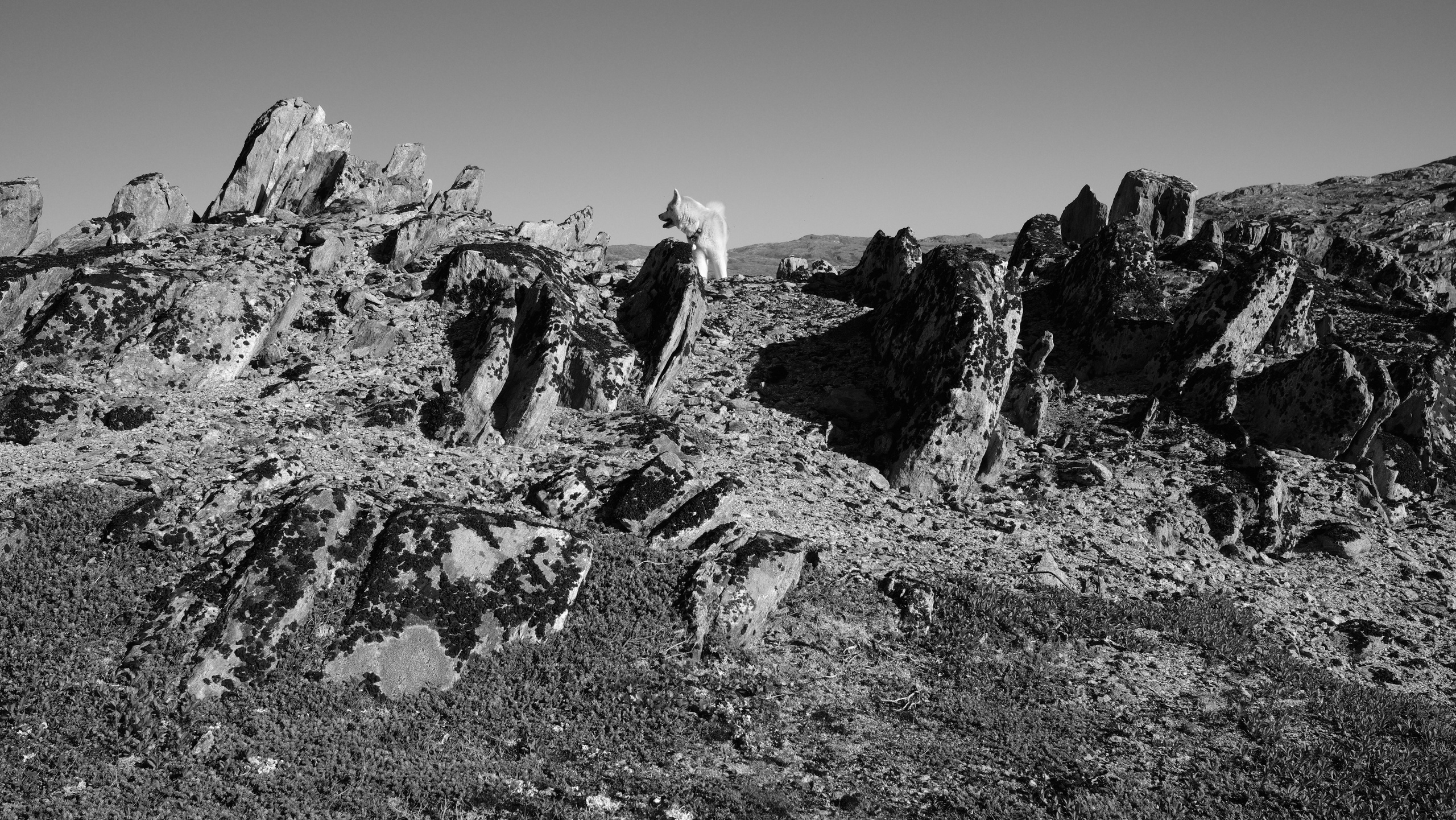 Полуостров Немецкий. Пейзажи Крайнего Севера. Баренцево море, Рыбачий, Средний, Немецкий