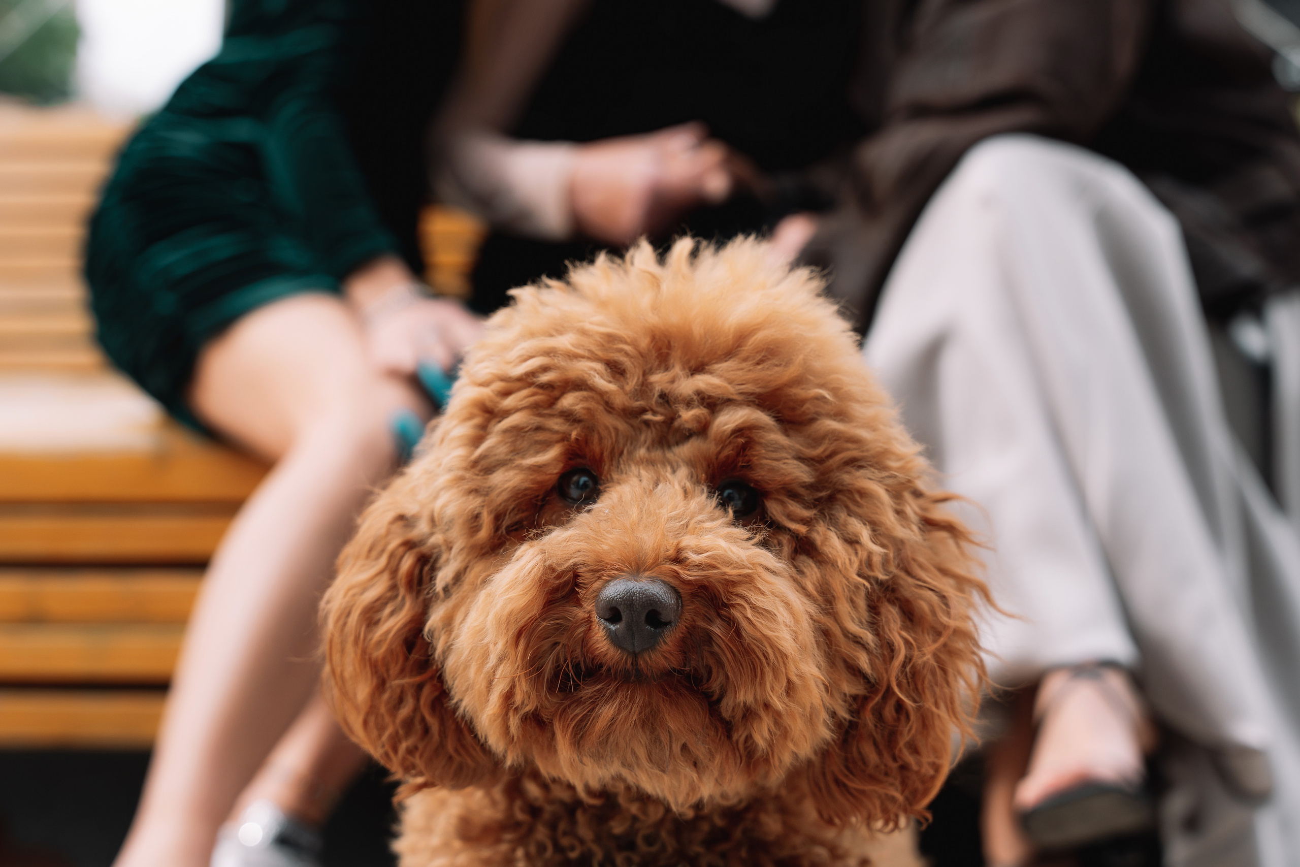 Ризида, Эльвира и Дилара. Свадебный фотограф Уфа, Руслан Бикташев