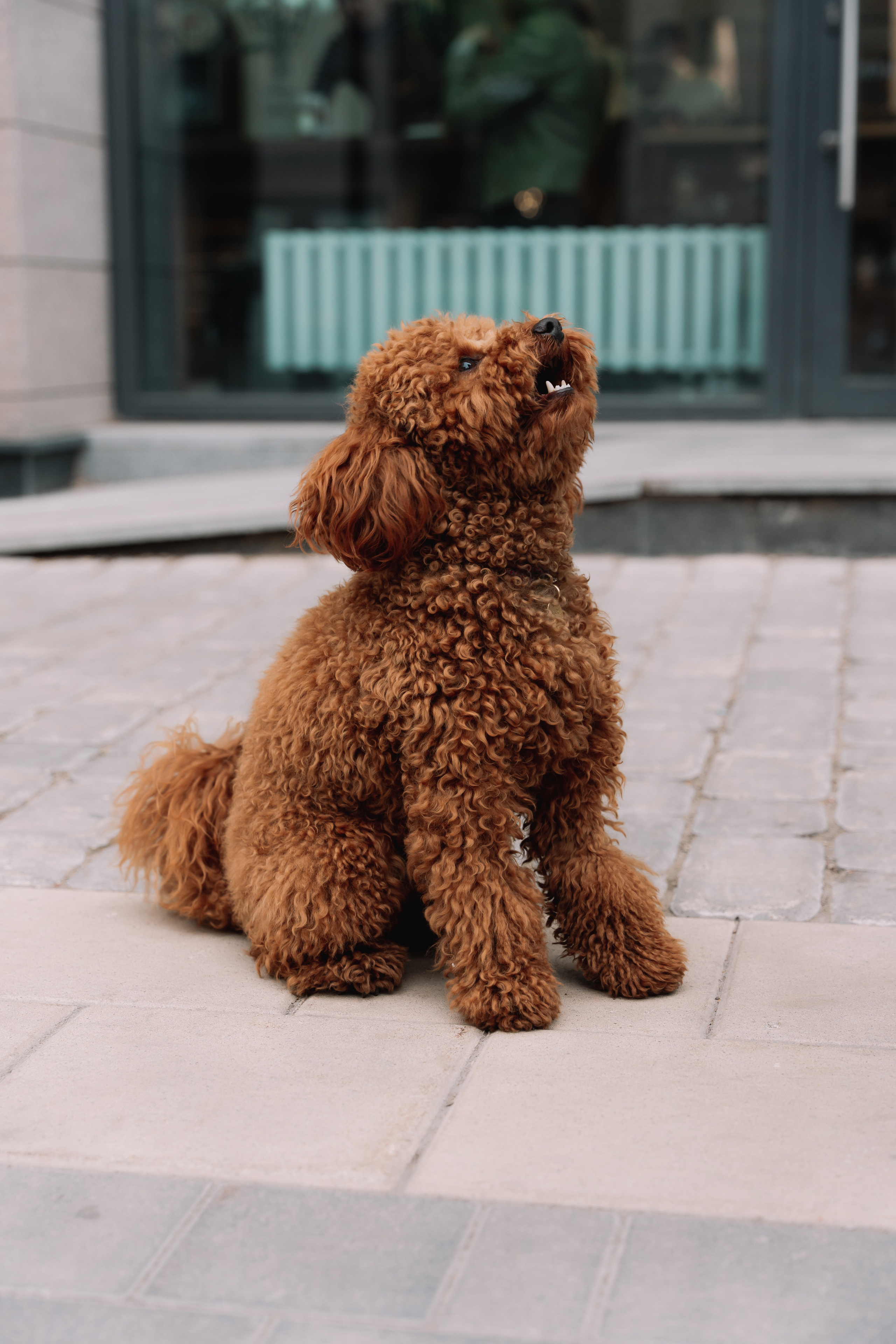 Ризида, Эльвира и Дилара. Свадебный фотограф Уфа, Руслан Бикташев