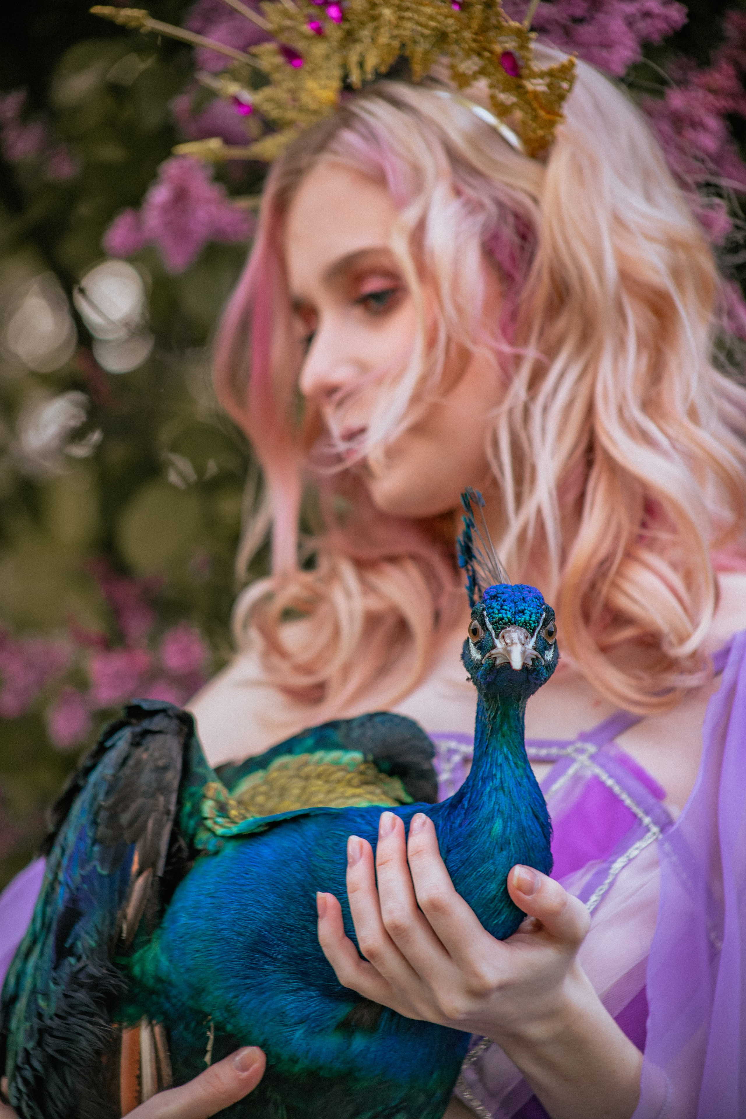 Павлин. Elena Sova — семейный и женский фотограф в Санкт-Петербурге