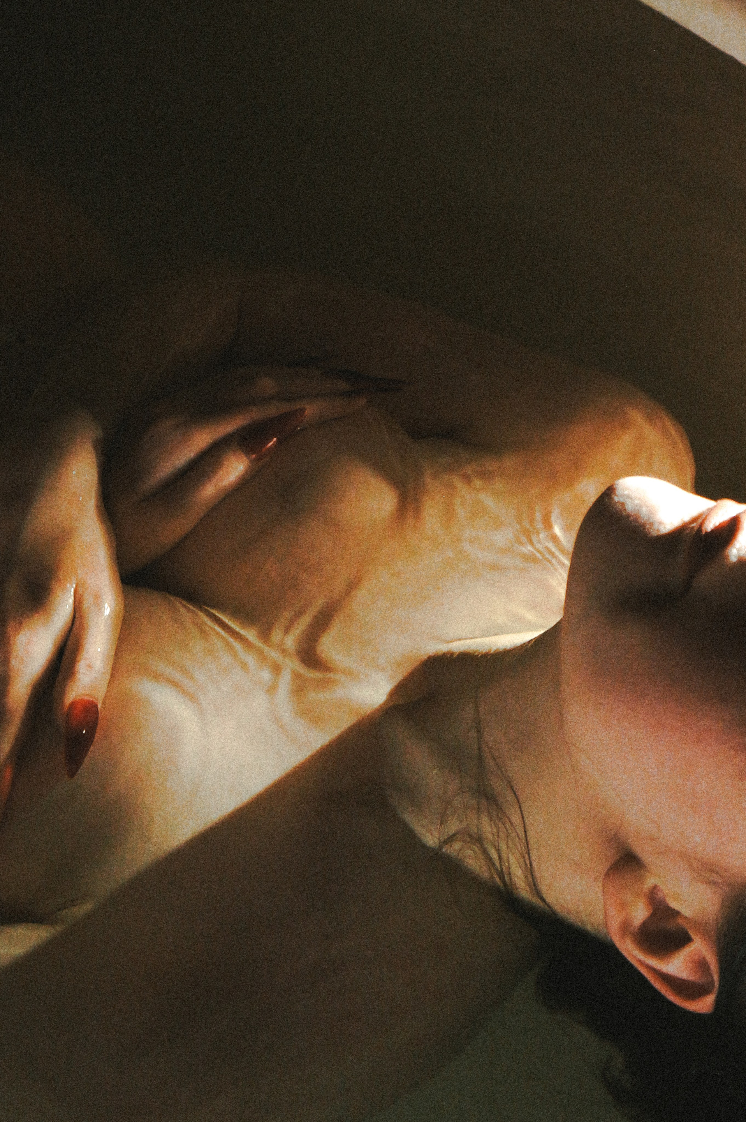 Портфолио. Cassiiopeiiae | фотограф мурманск