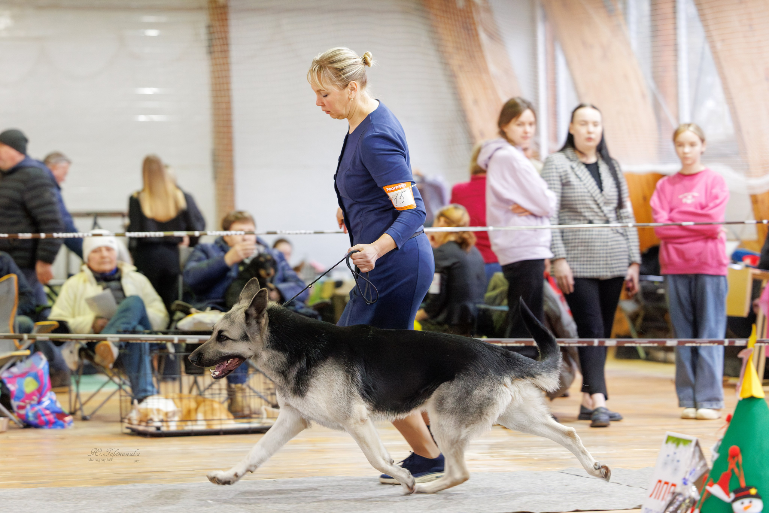 Тверь 21.12.2025. Фотограф-анималист Юлия Германика