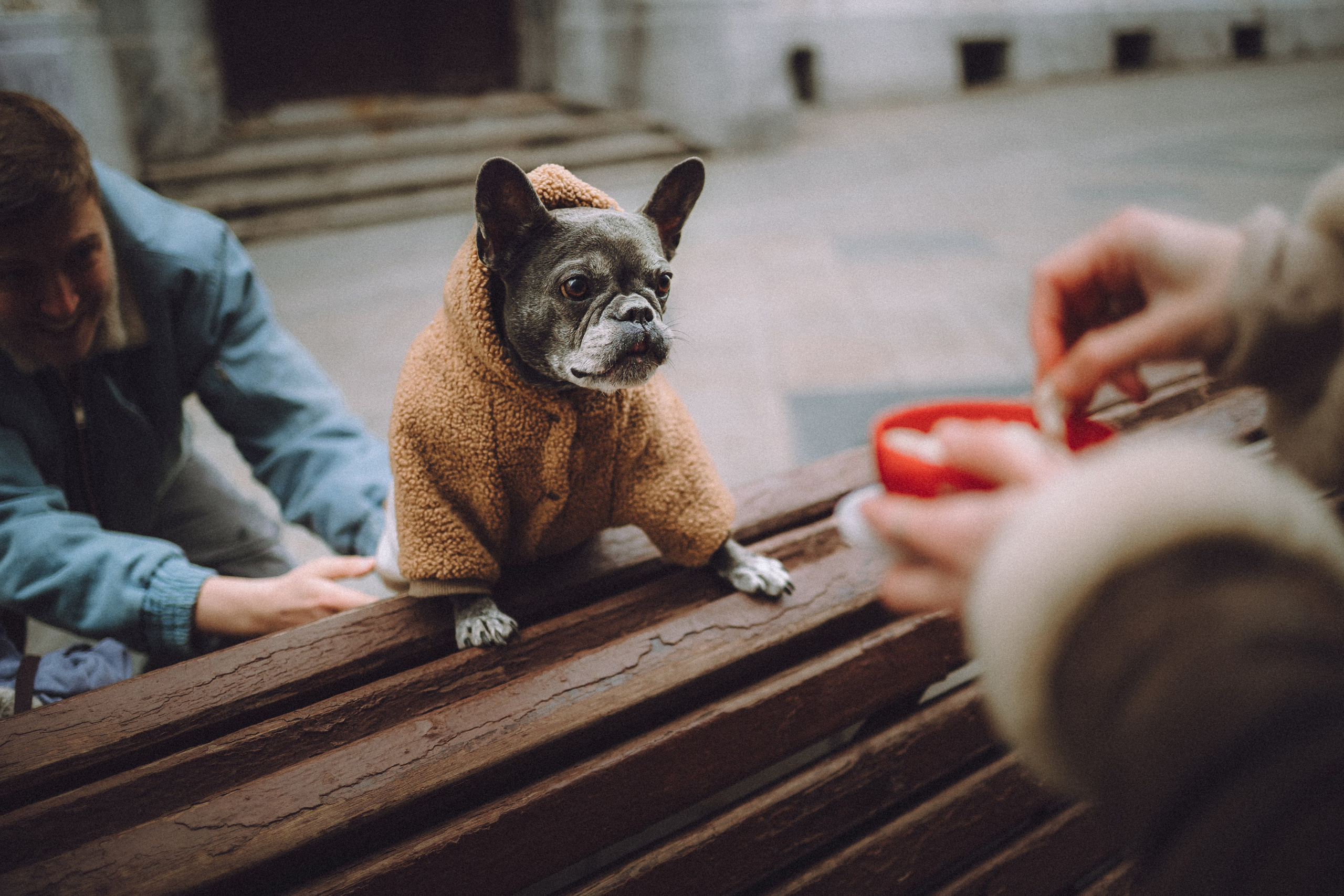 Юля, Вова и Моня