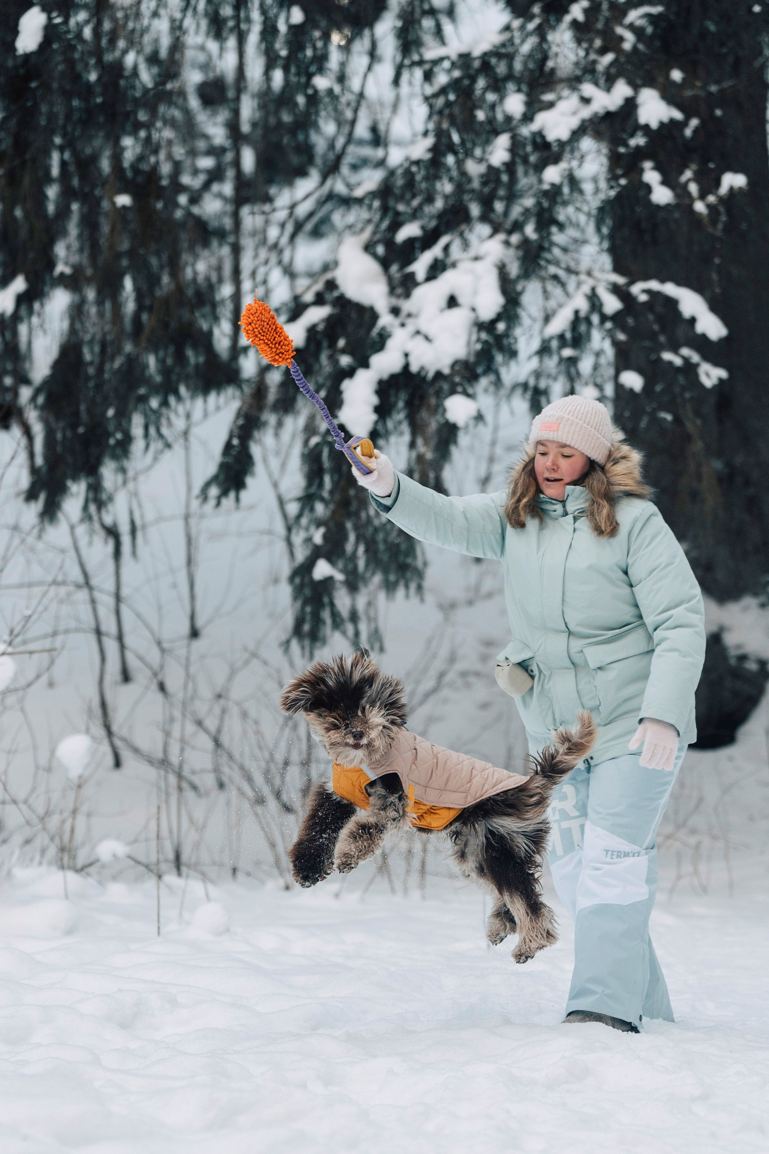 Хэйзел и её семья. Фотограф анималист в Спб недорого Олеся Майорова