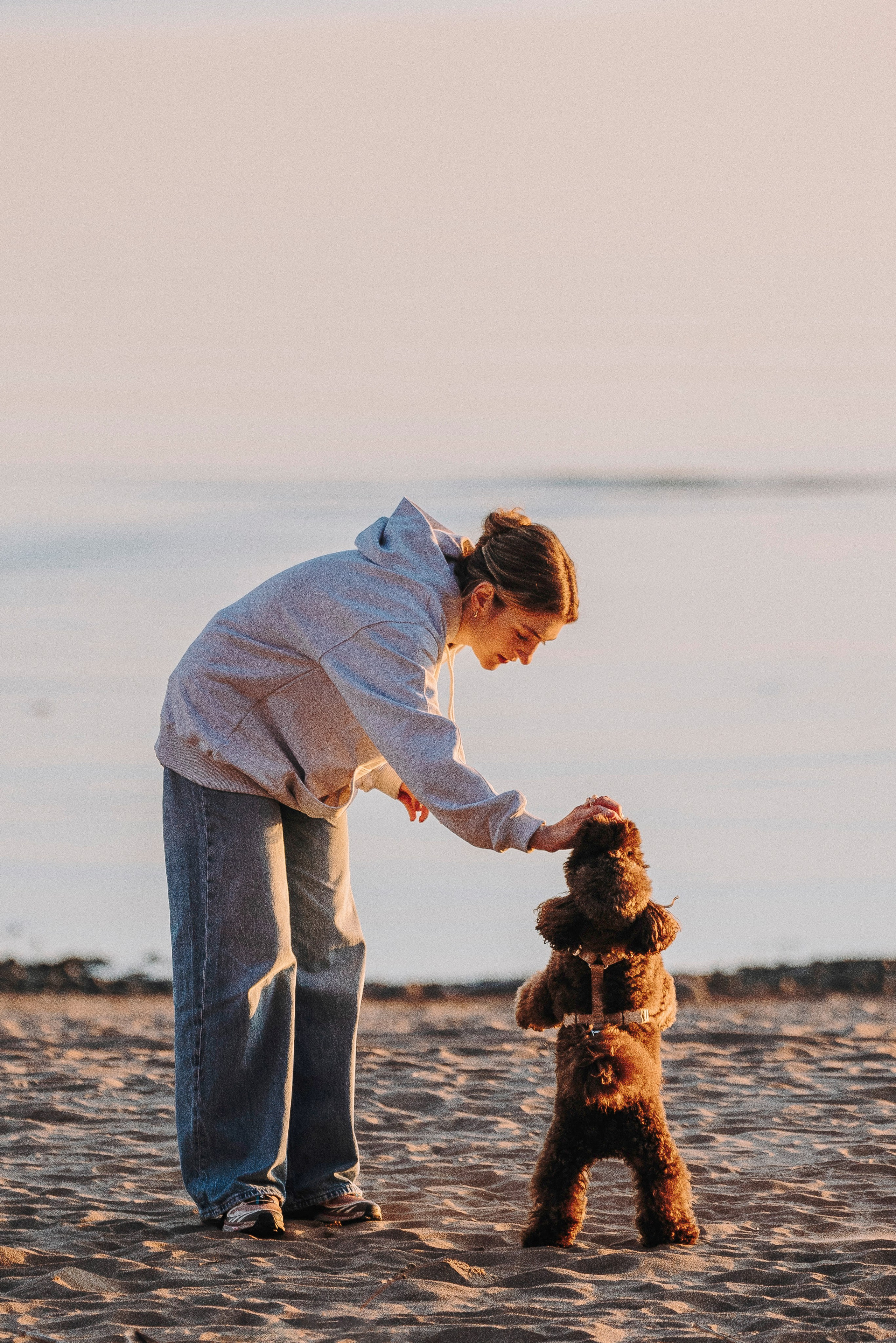 Фотосессия девушки с пуделем на пляже на закате. Фотограф анималист в Спб недорого Олеся Майорова