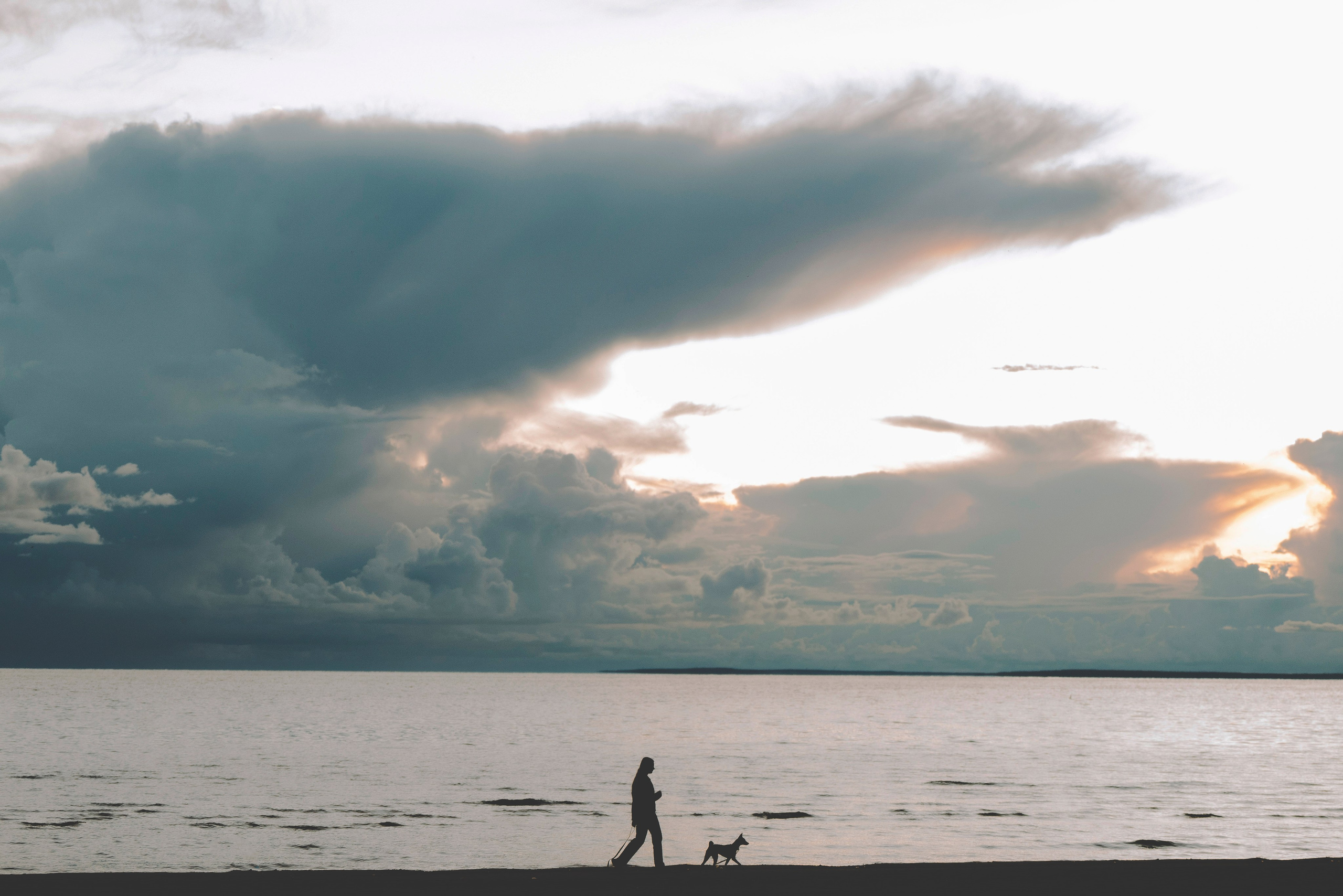 Екатерина и Дива. Фотограф анималист в Спб недорого Олеся Майорова