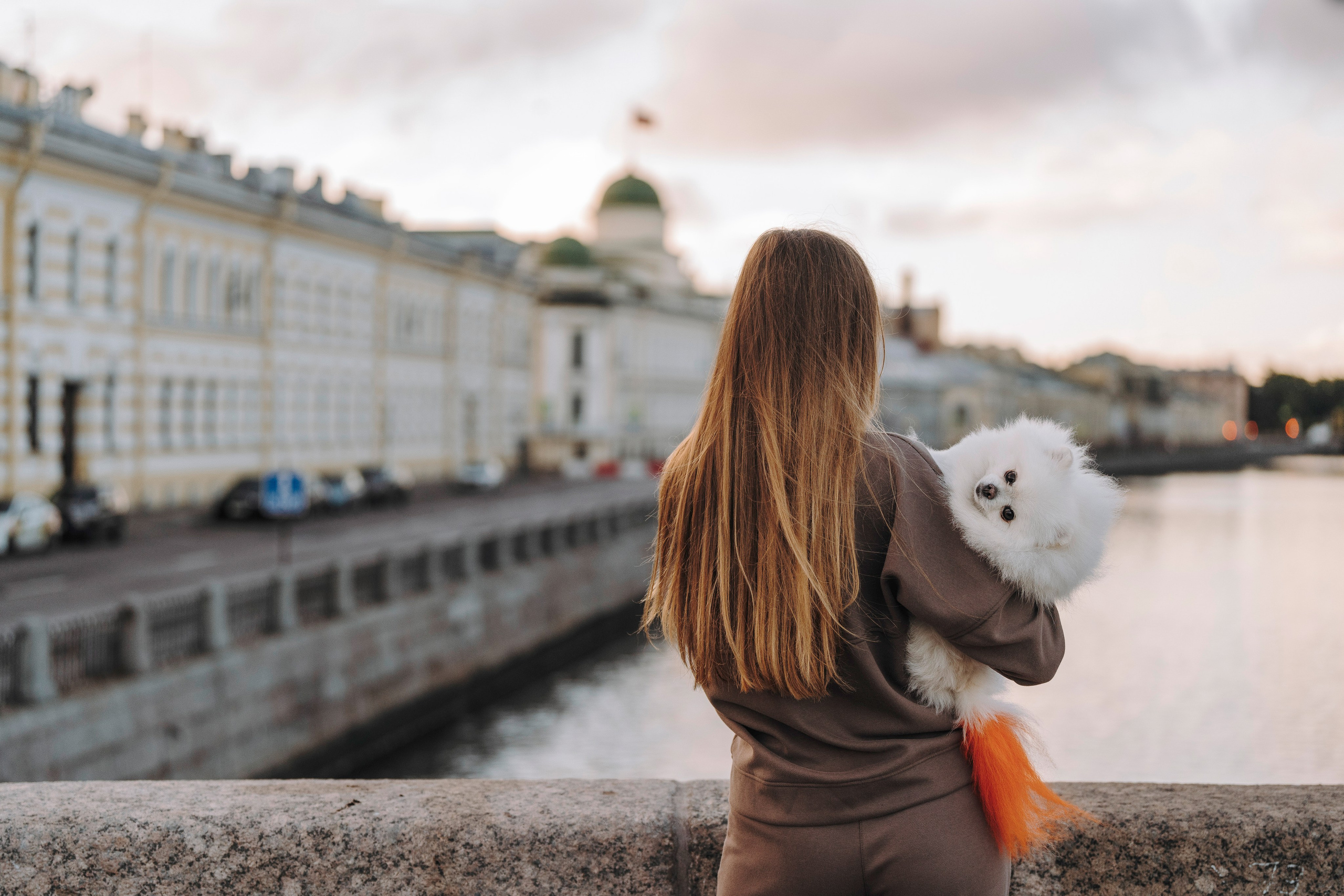 Фотосессия с померанским шпицем. Фотограф анималист в Спб недорого Олеся Майорова