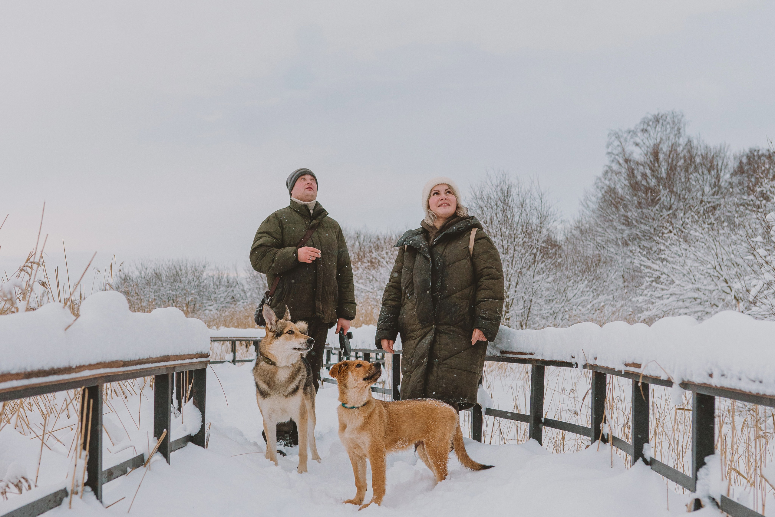 Фотосессия с питомцами на природе. Фотограф анималист в Спб недорого Олеся Майорова