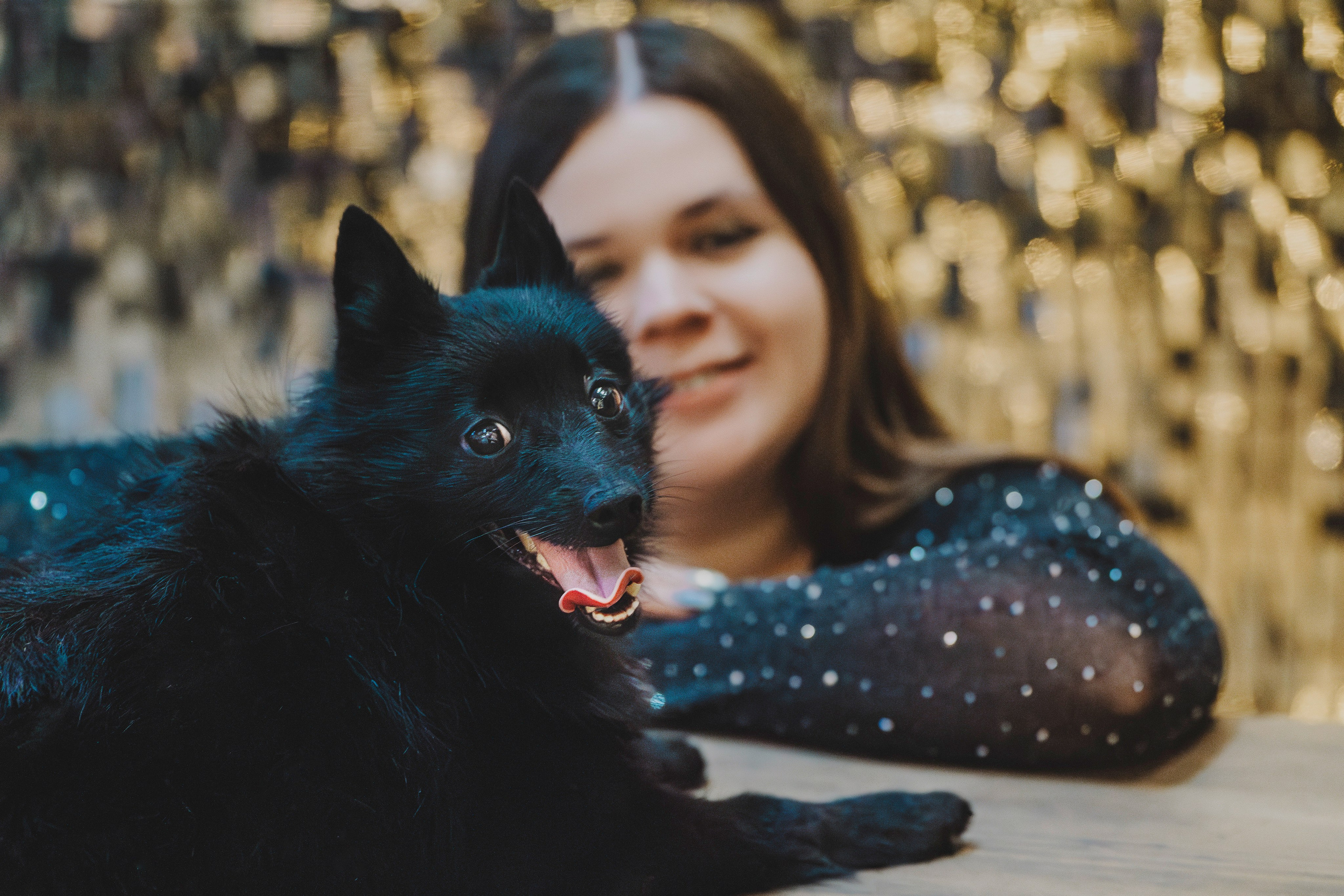 Аня, Андуин и Тесс. Фотограф анималист в Спб недорого Олеся Майорова