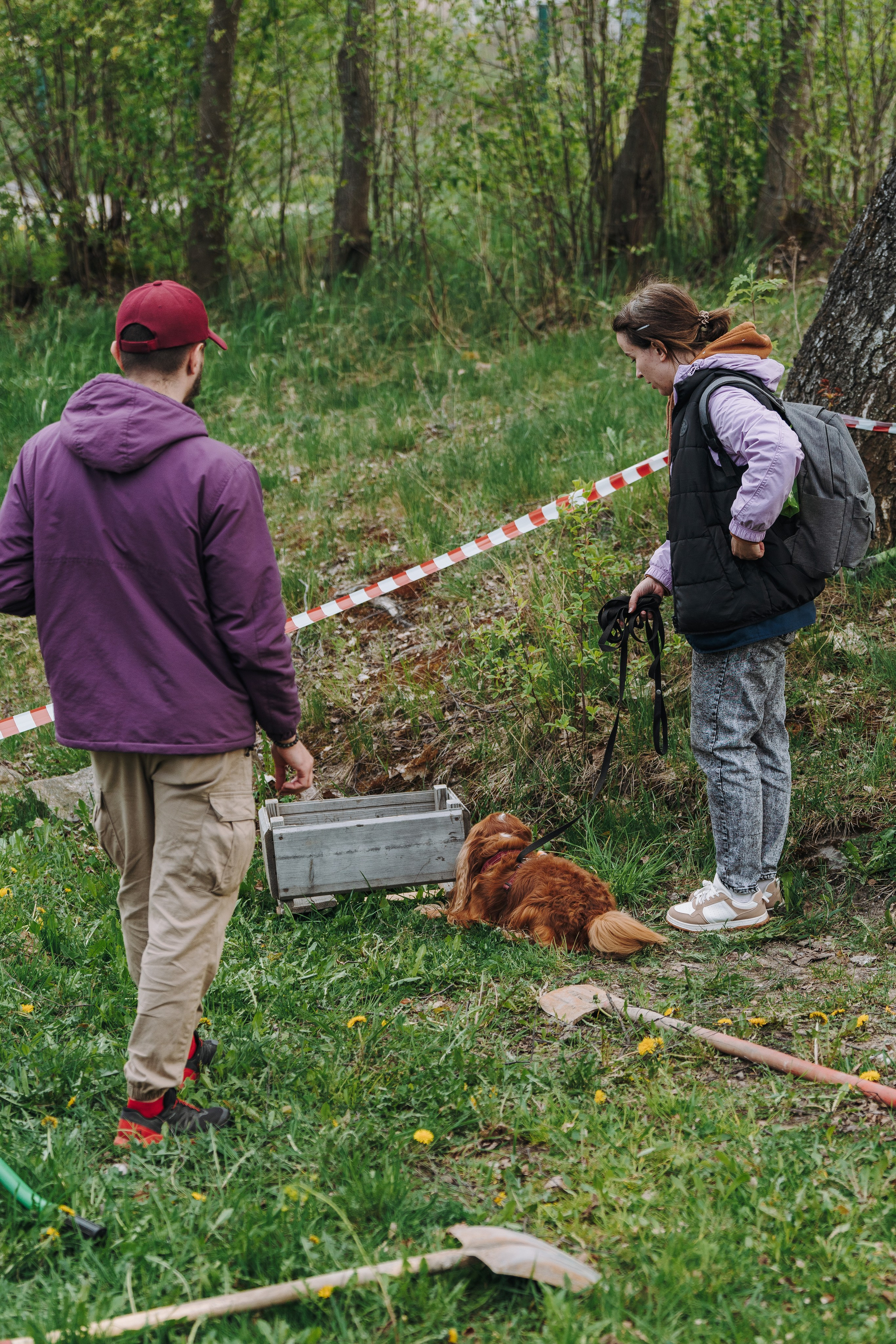 Соревнования по ноузворку в Лосево. Фотограф анималист в Спб недорого Олеся Майорова