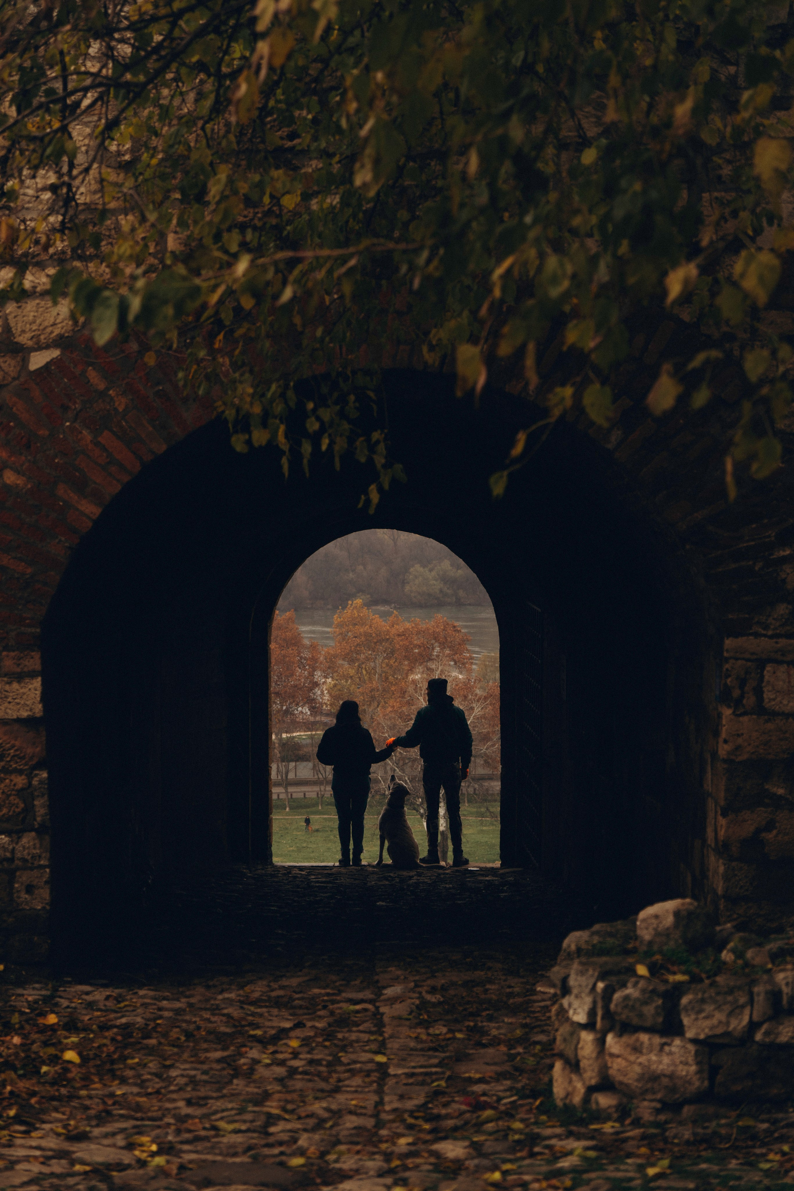 Вати, Лена и Леван. Фотограф анималист в Спб недорого Олеся Майорова