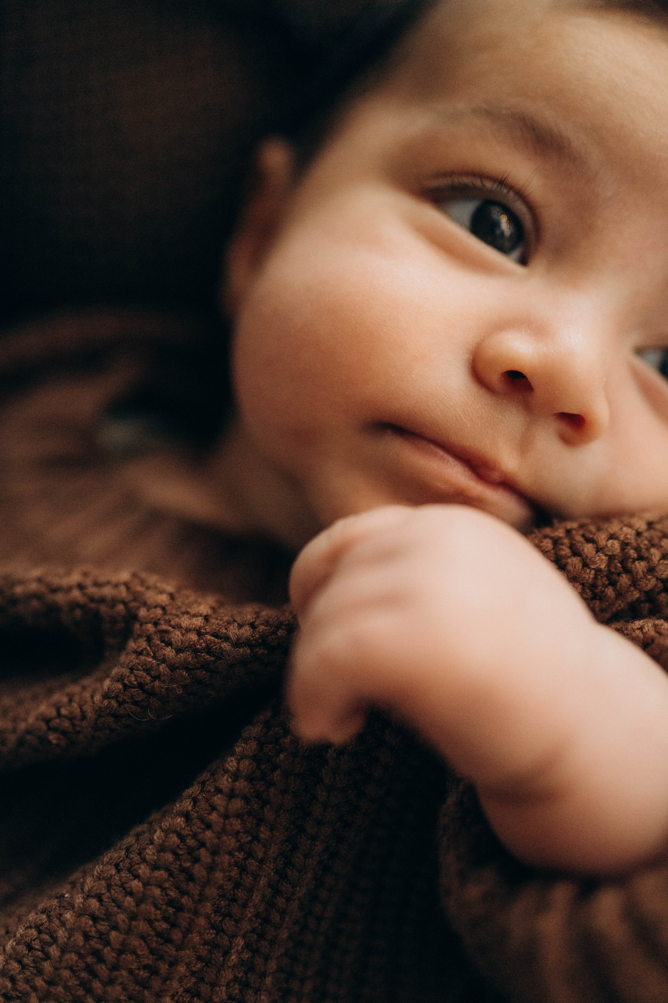 Сева, Сехран, Мурад и Имран. Семейный фотограф Юлия Котова