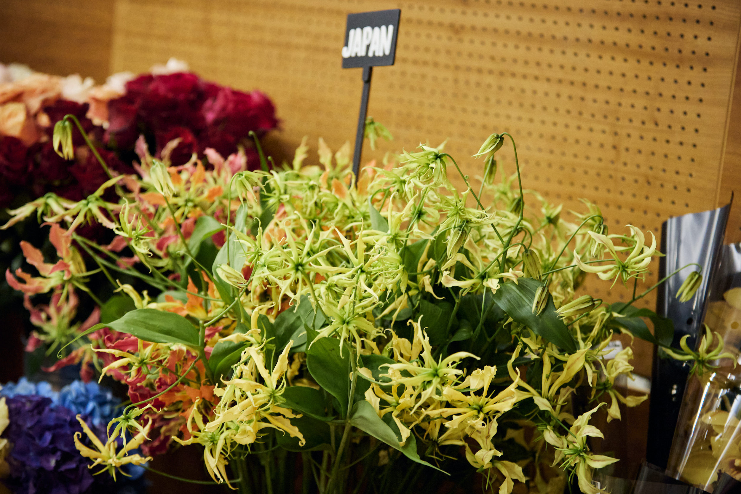 Фотограф на съемку семинара. Контент для бизнеса в Екатеринбурге Полдень Медиа