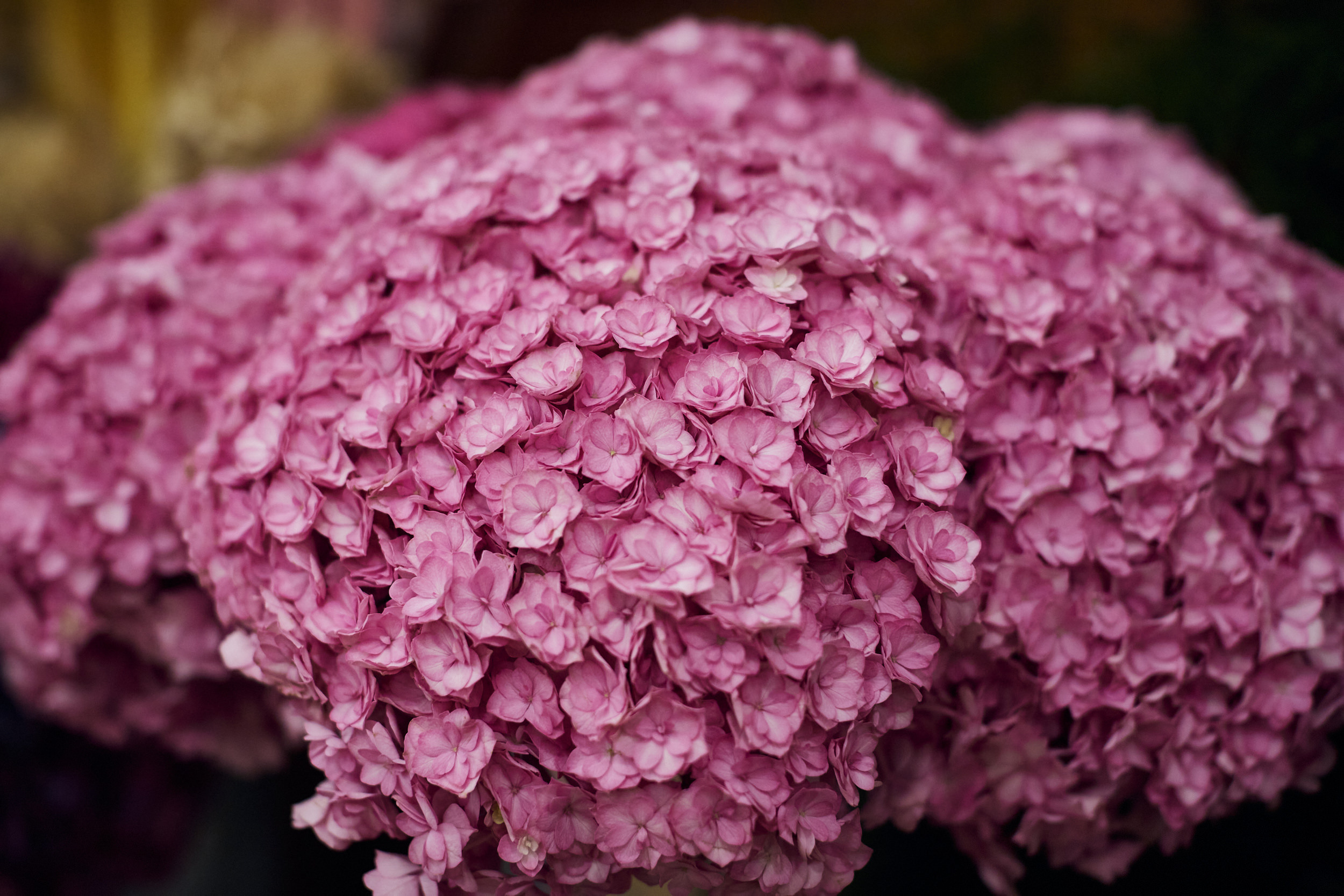 Фотограф на съемку семинара. Контент для бизнеса в Екатеринбурге Полдень Медиа