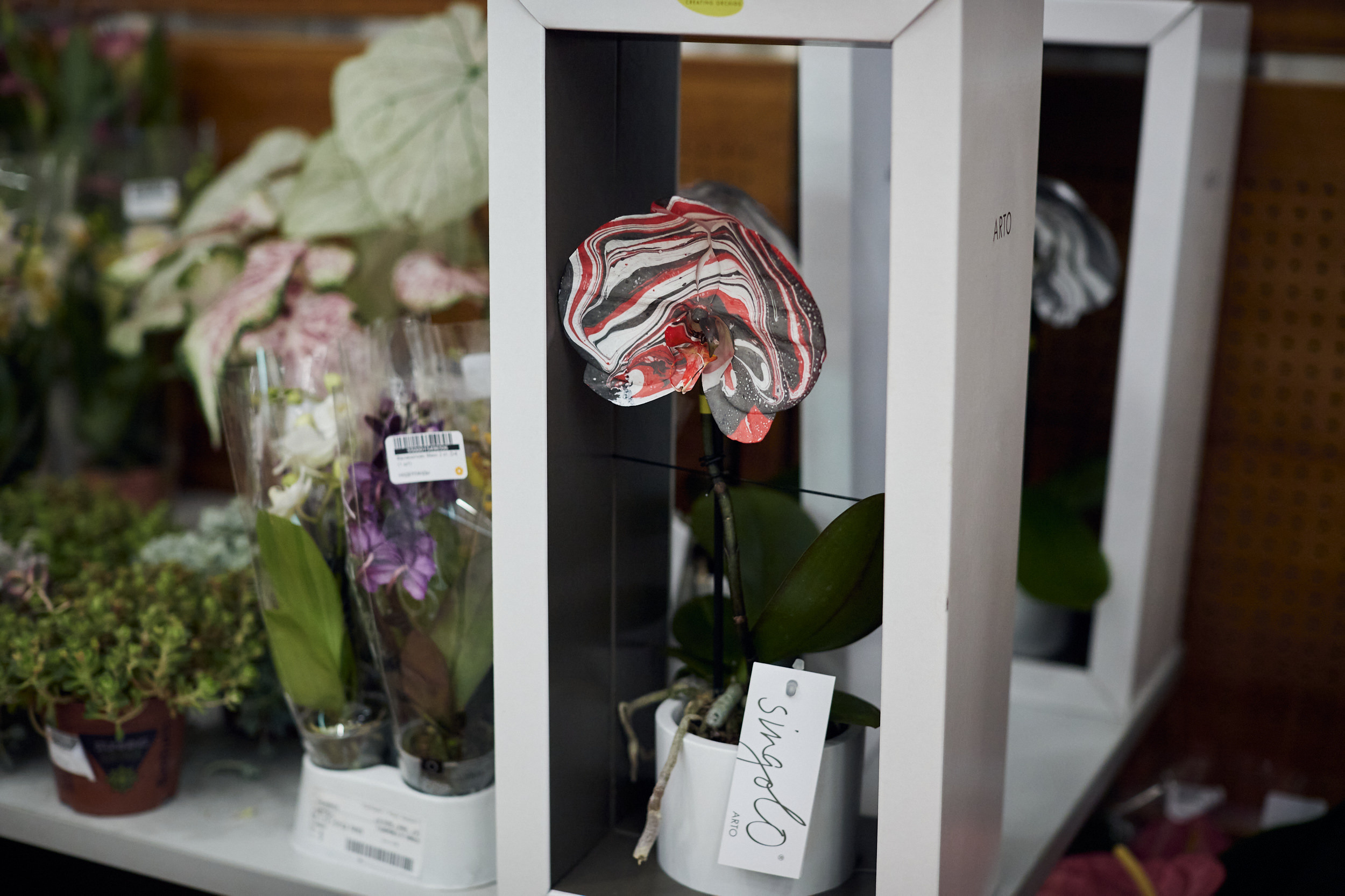 Фотограф на съемку семинара. Контент для бизнеса в Екатеринбурге Полдень Медиа