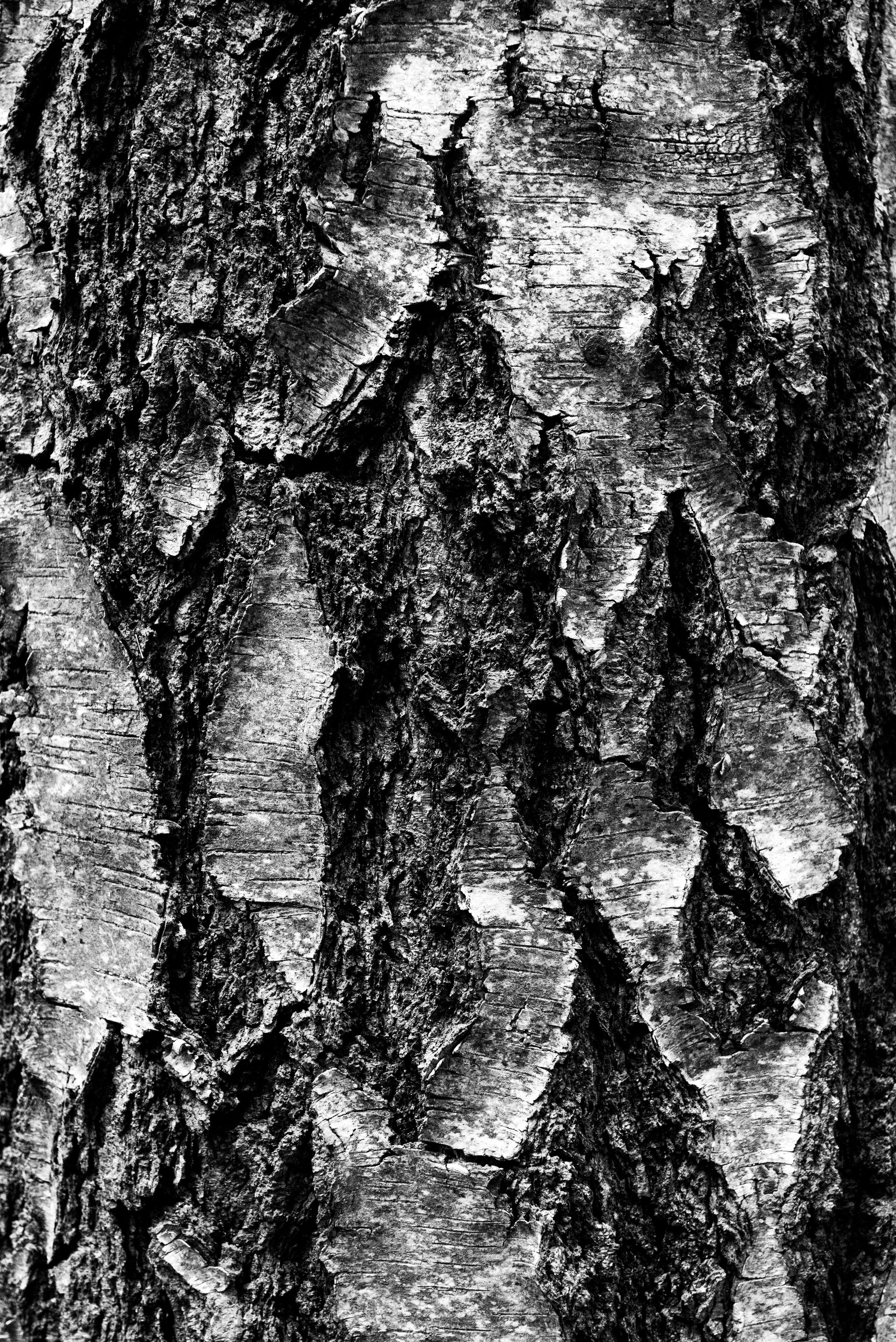 Текстуры. Портретный и архитектурный фотограф в Москве и Санкт-Петербурге