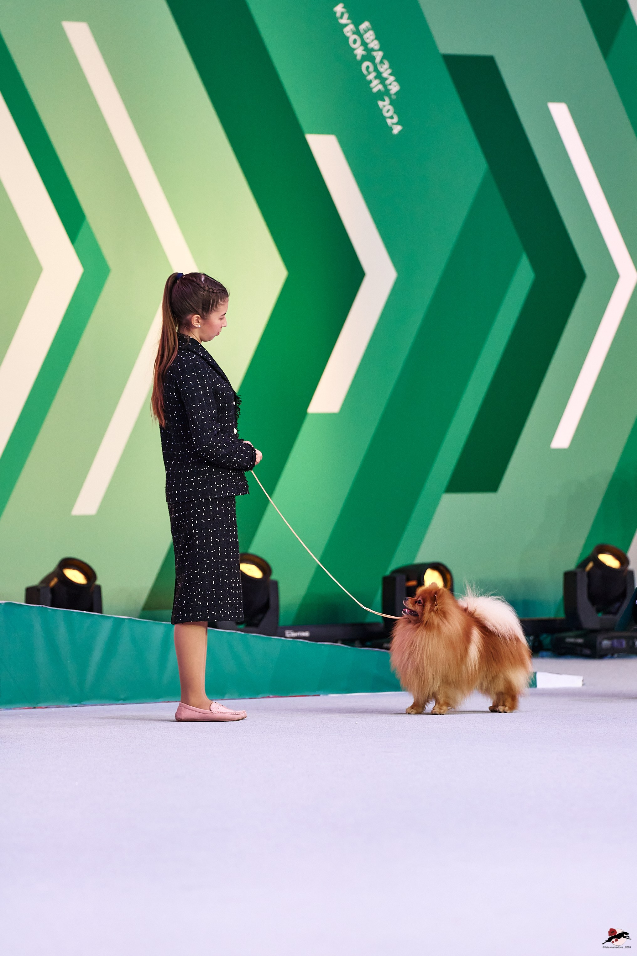 16.11.2024 «ЕВРАЗИЯ. КУБОК ПРЕЗИДЕНТА РКФ 2024»