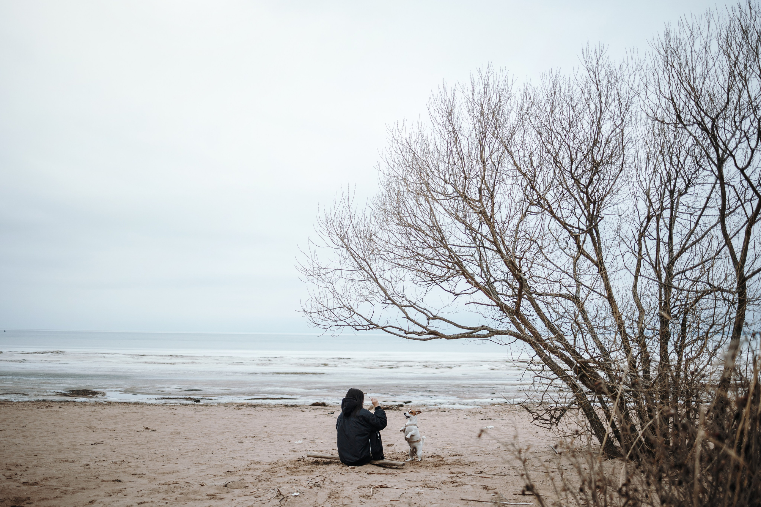 Саша и Джеки. Фотограф — Анималист | Санкт-Петербург