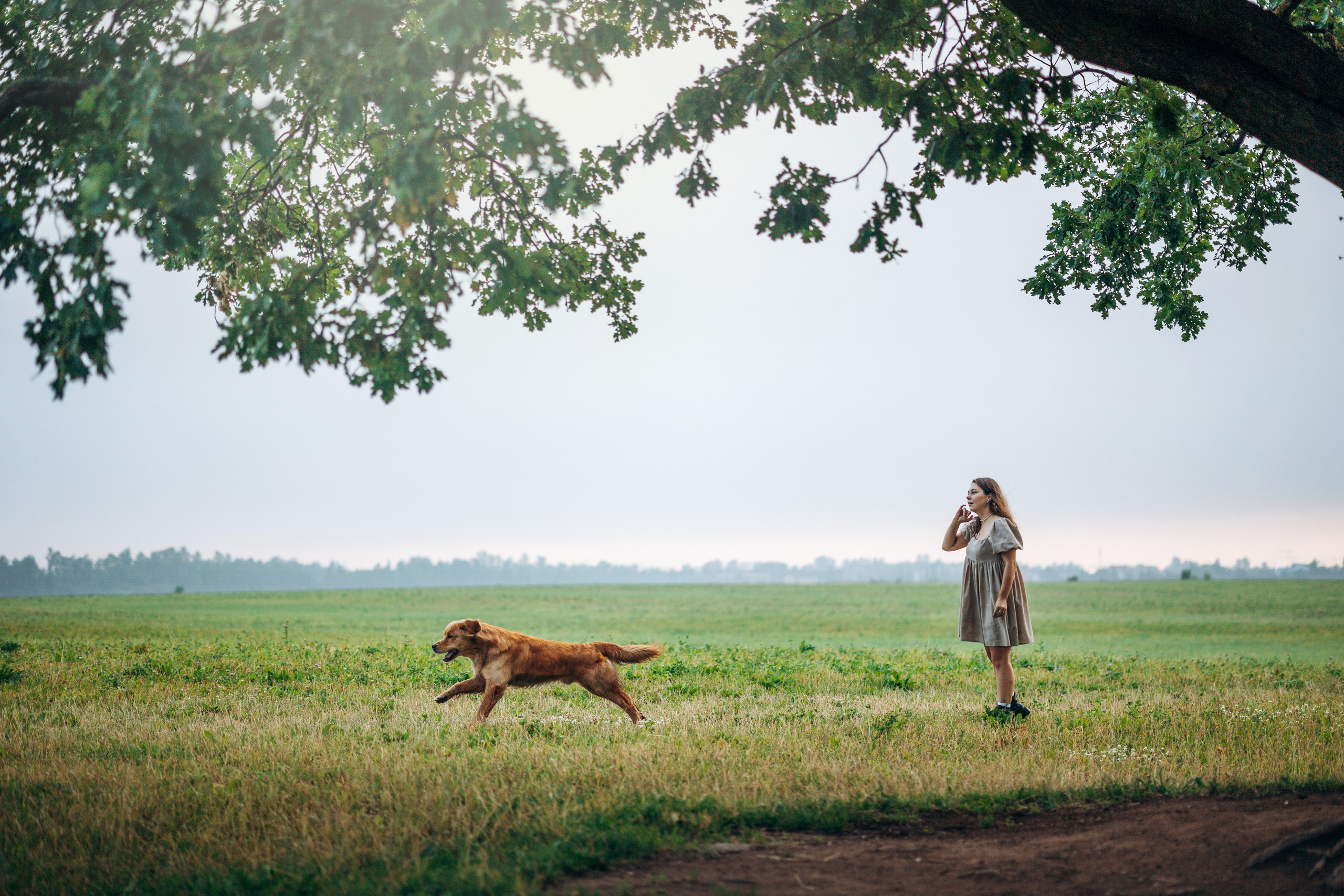 Аня и Ноллан. Фотограф — Анималист | Санкт-Петербург